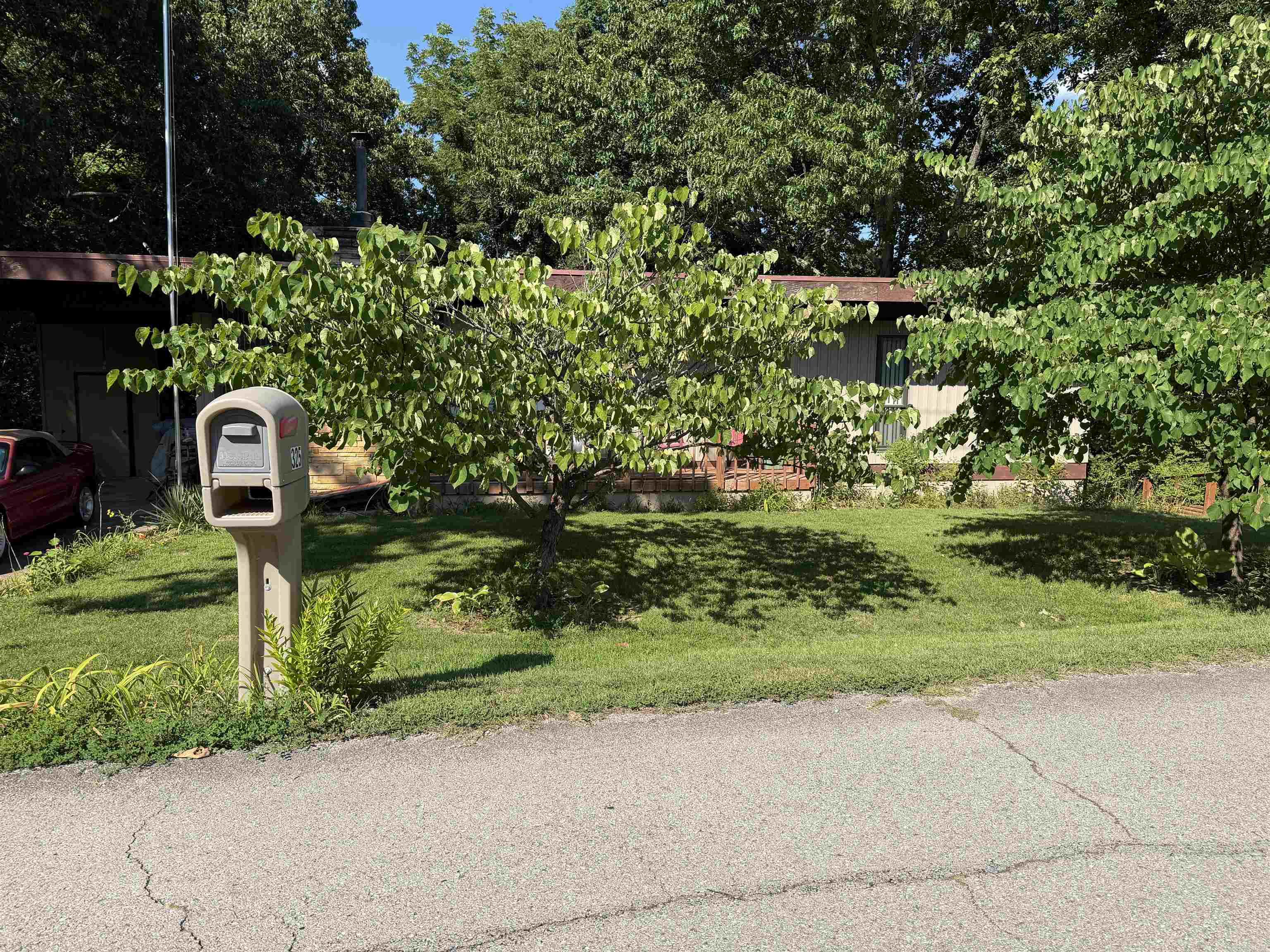 325 Wayne Drive  Lakeview, AR