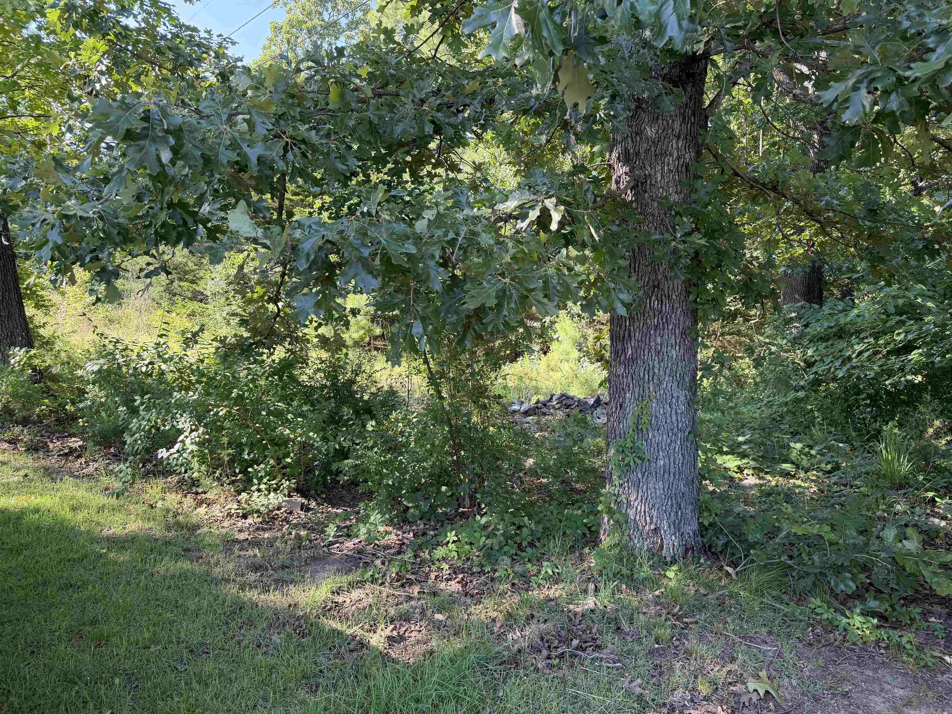 325 Wayne Drive  Lakeview, AR