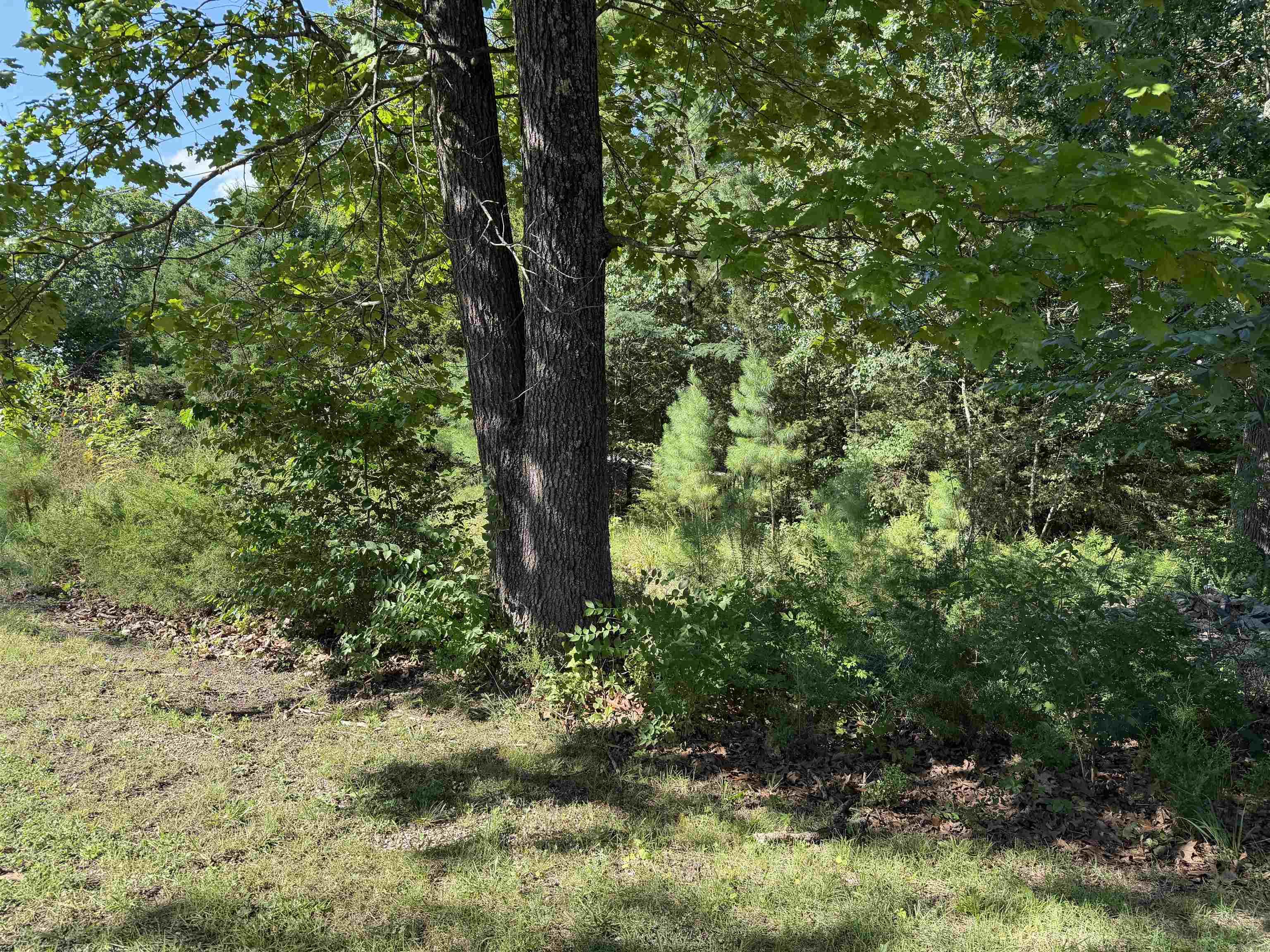 325 Wayne Drive  Lakeview, AR