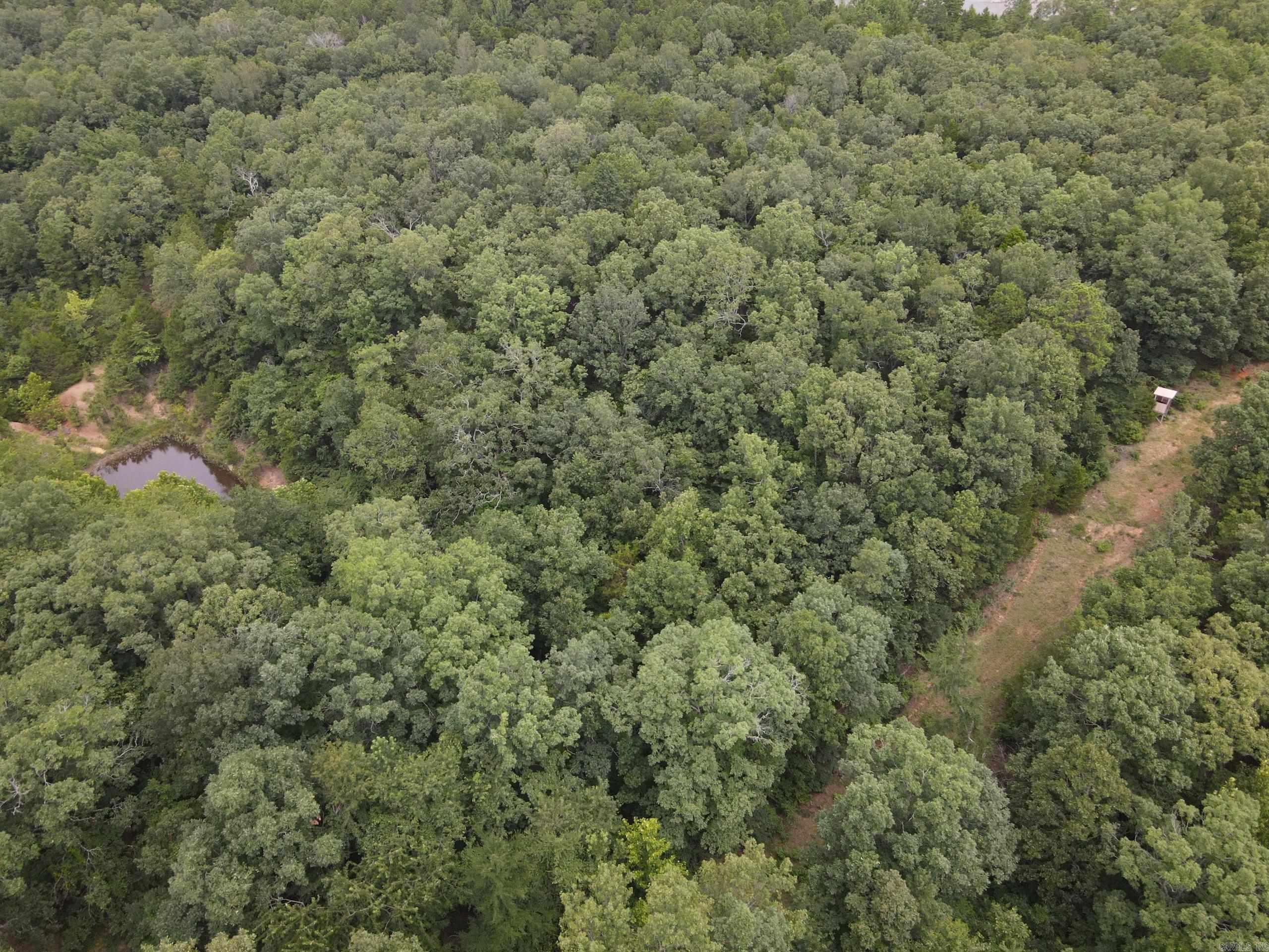 000 Merryman Road  Clinton, AR