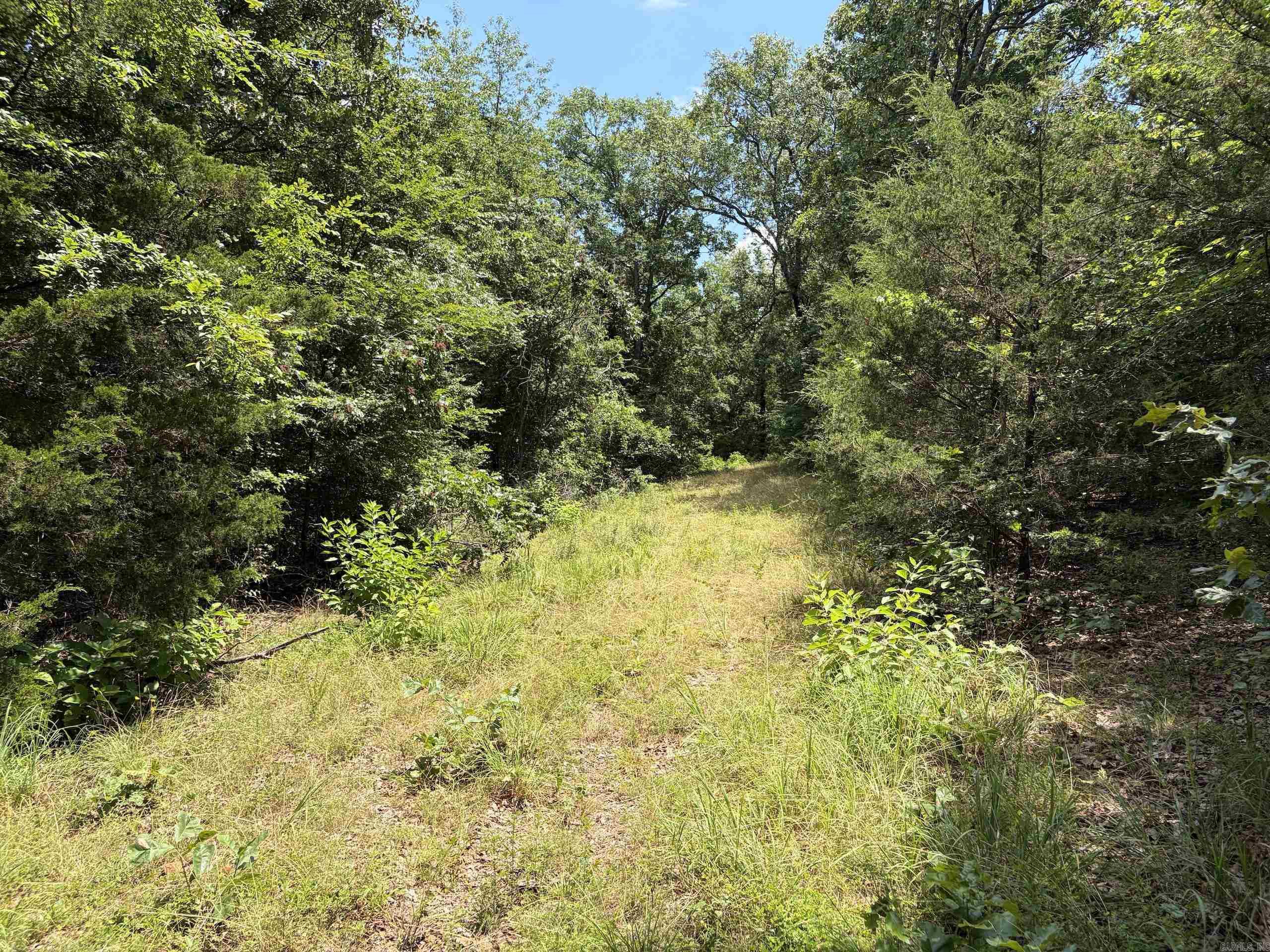 000 Merryman Road  Clinton, AR