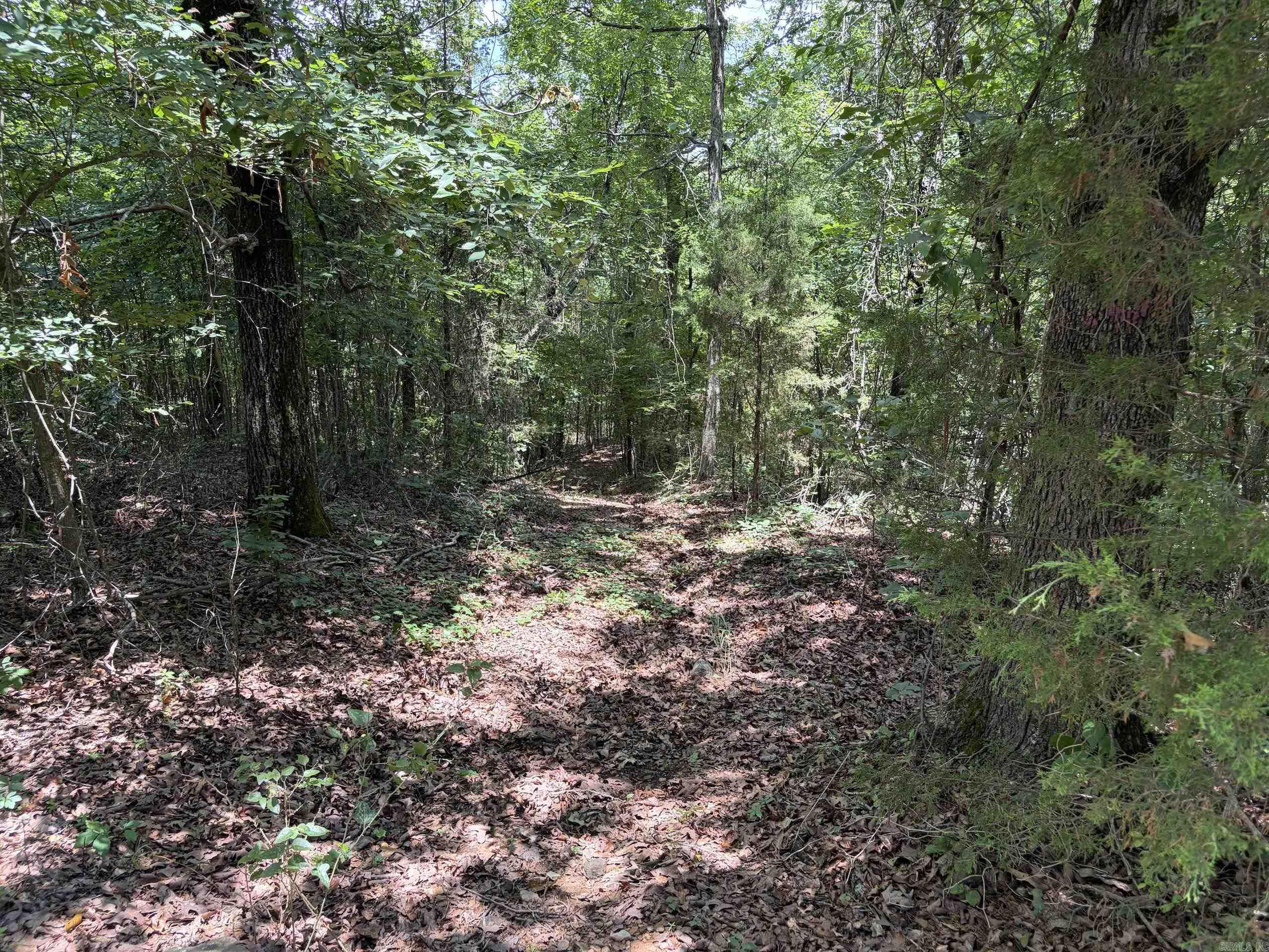 000 Merryman Road  Clinton, AR