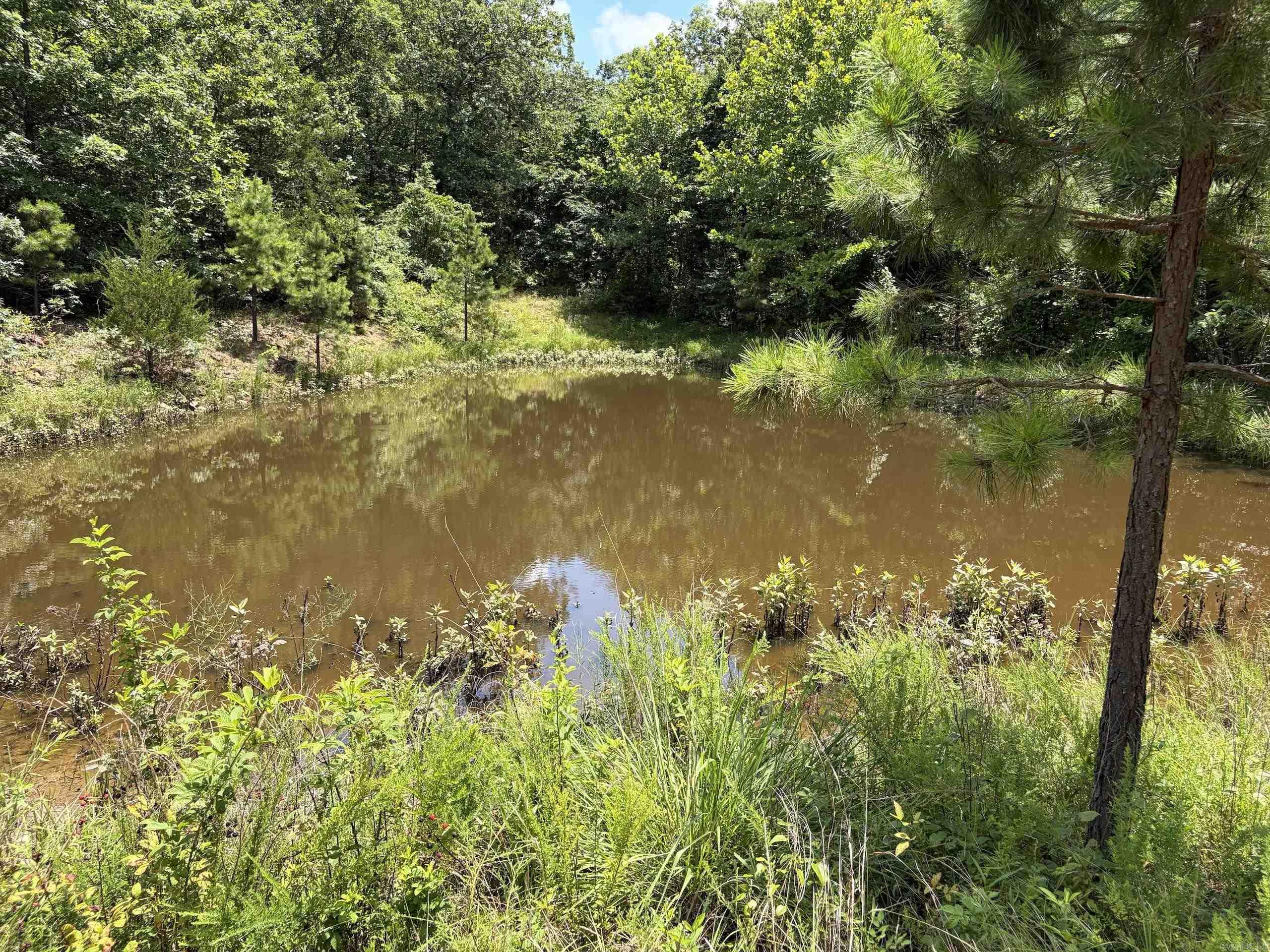 000 Merryman Road  Clinton, AR