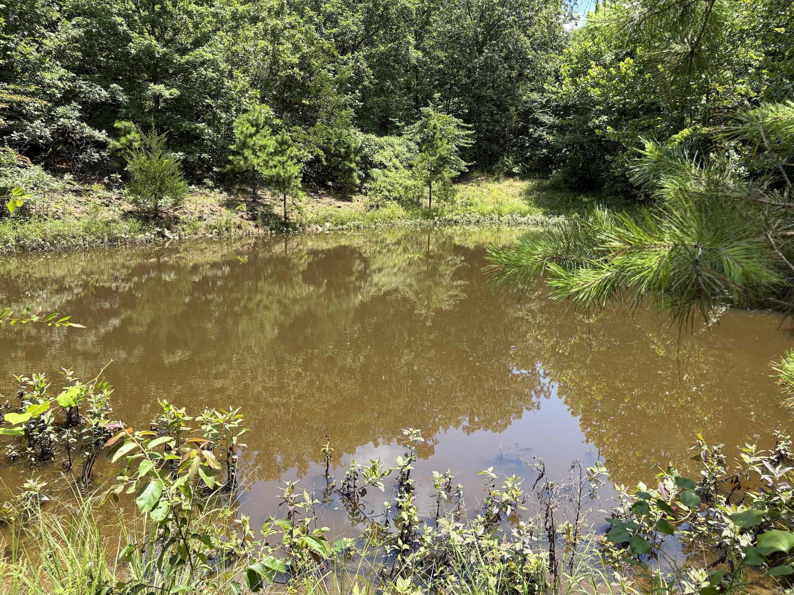 000 Merryman Road  Clinton, AR