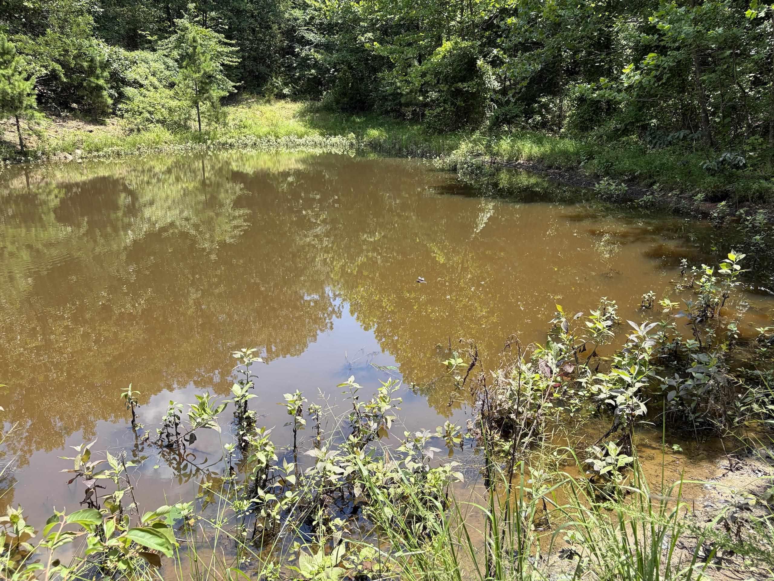 000 Merryman Road  Clinton, AR