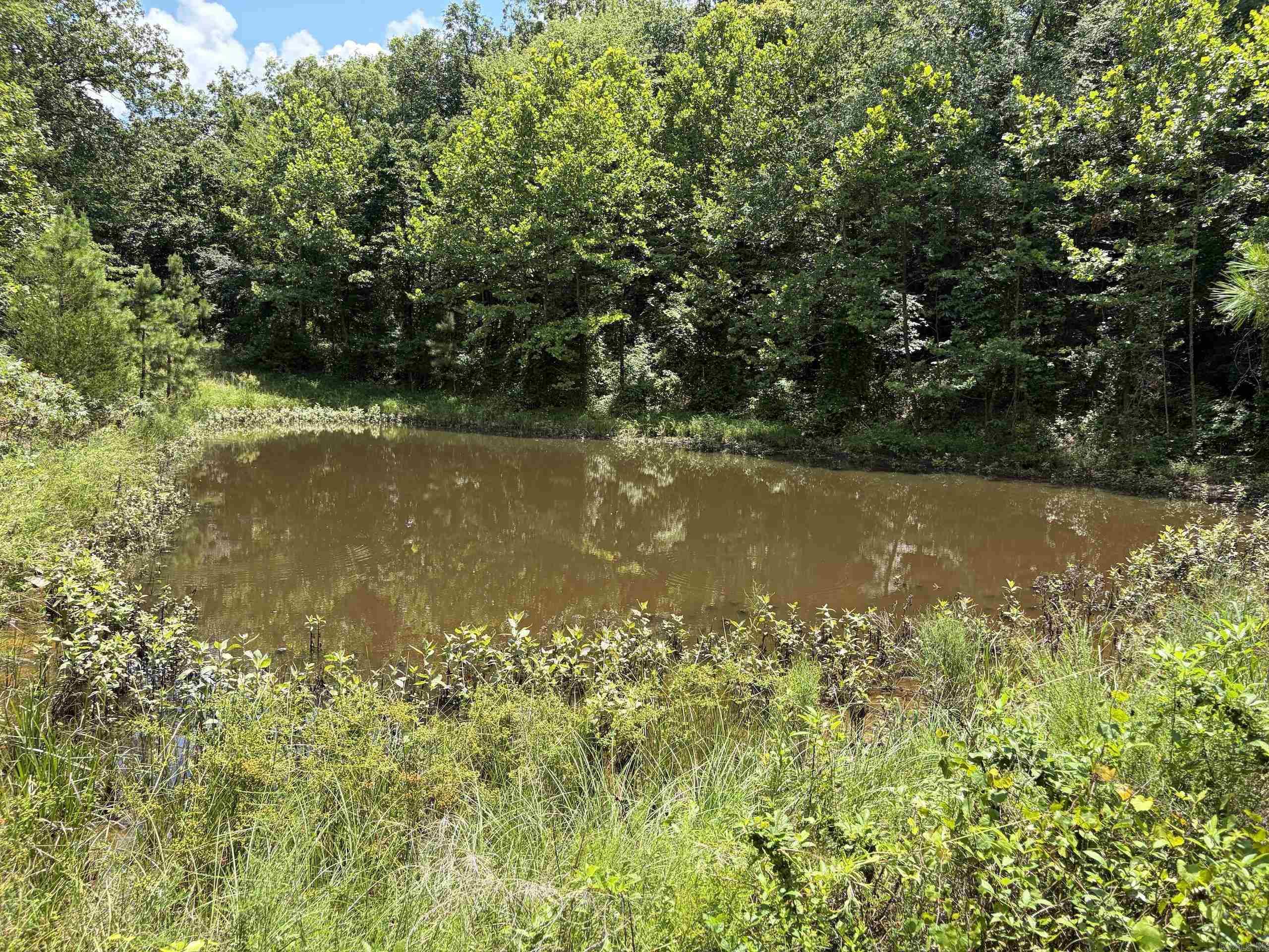 000 Merryman Road  Clinton, AR