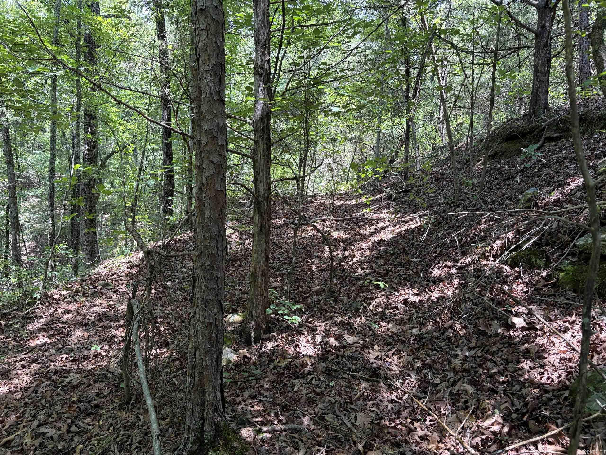 000 Merryman Road  Clinton, AR