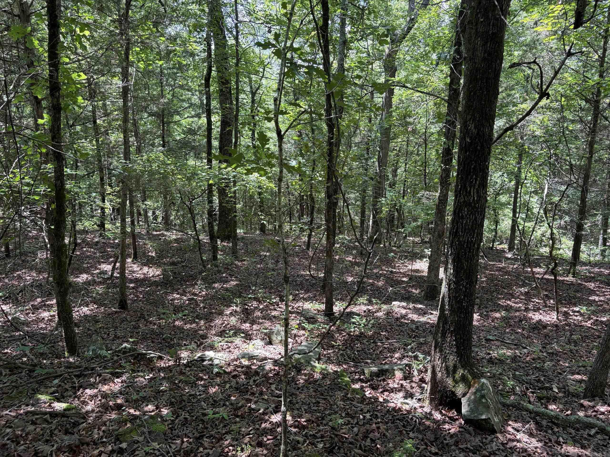 000 Merryman Road  Clinton, AR