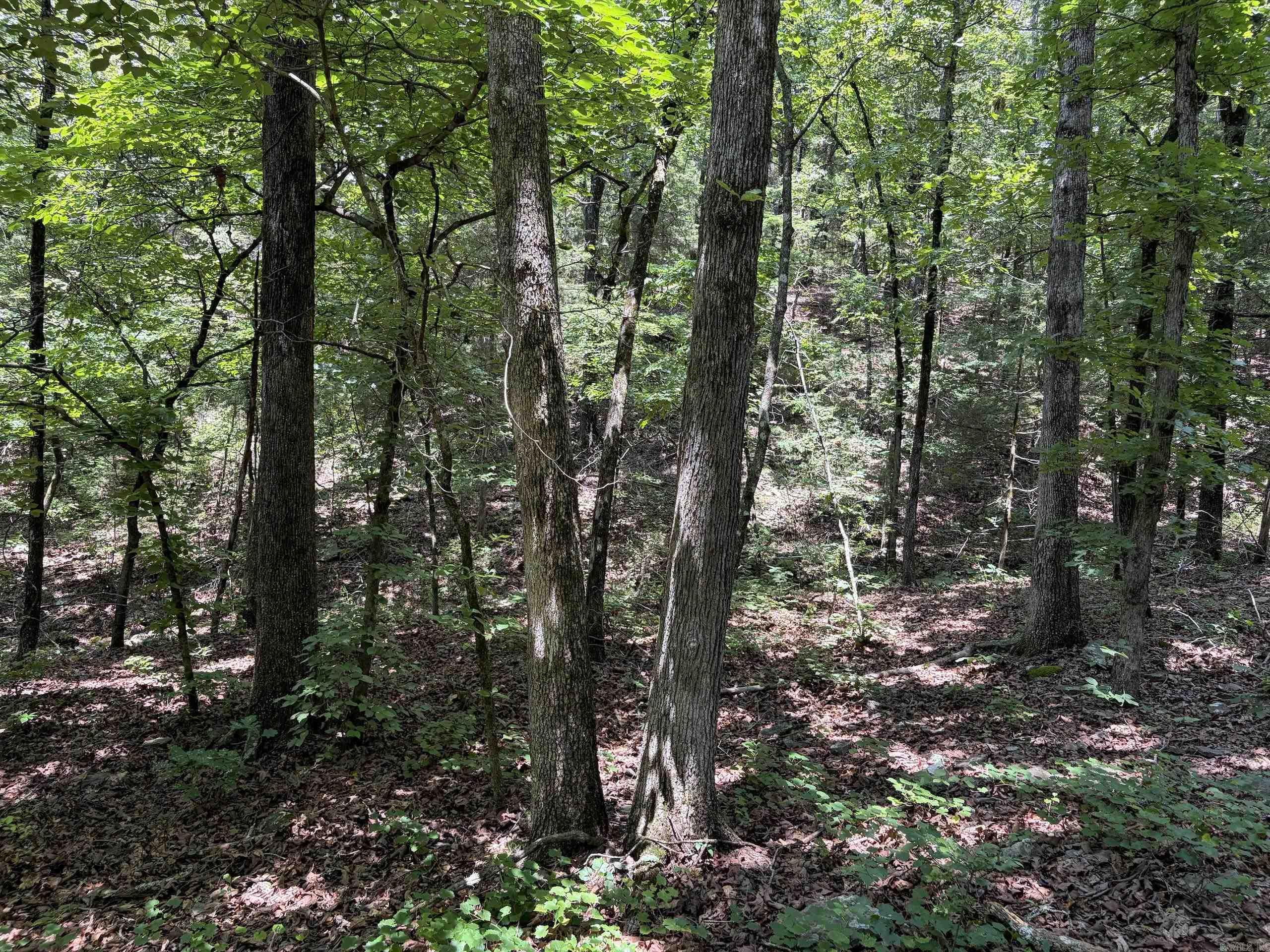 000 Merryman Road  Clinton, AR