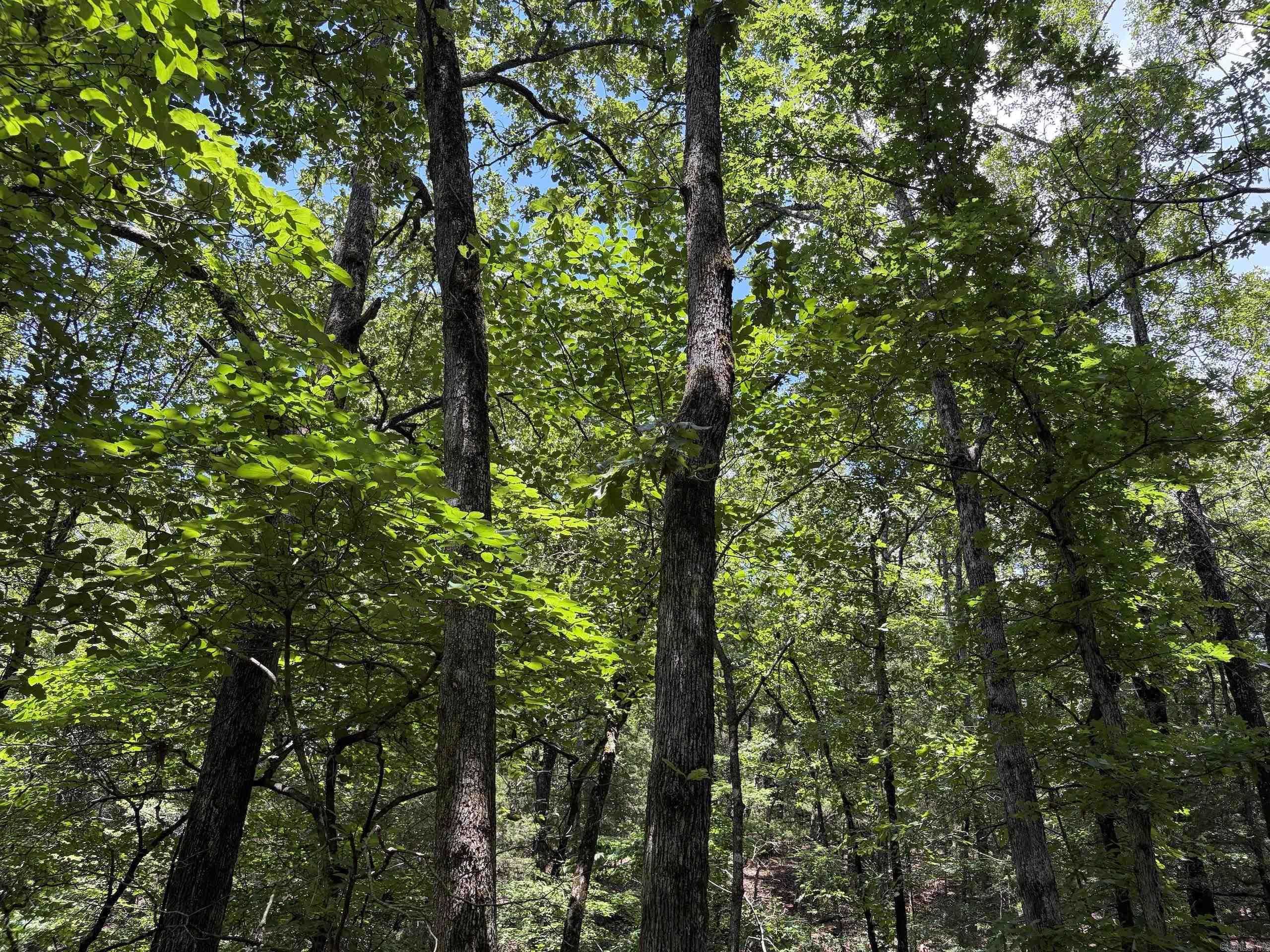 000 Merryman Road  Clinton, AR