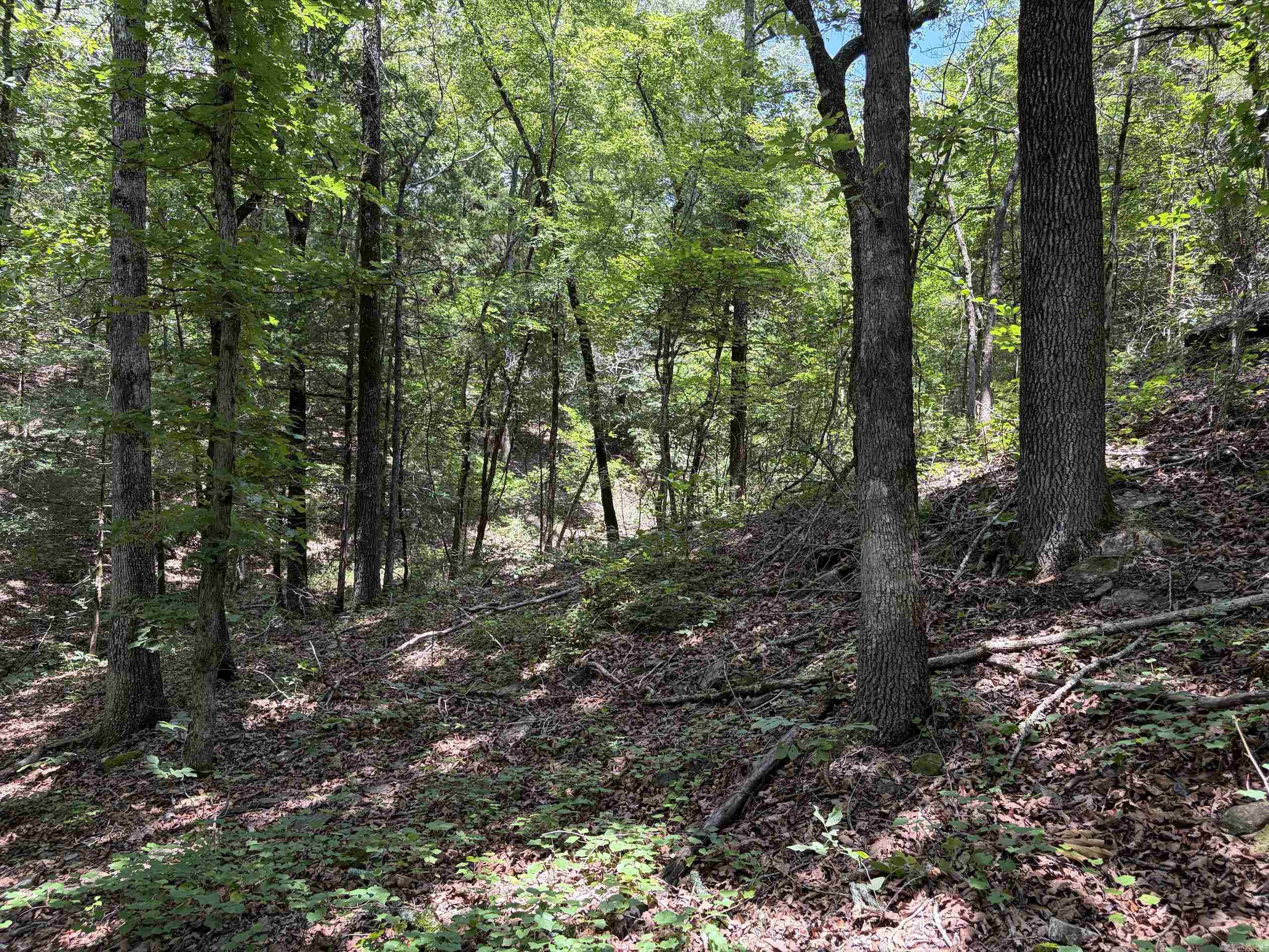000 Merryman Road  Clinton, AR