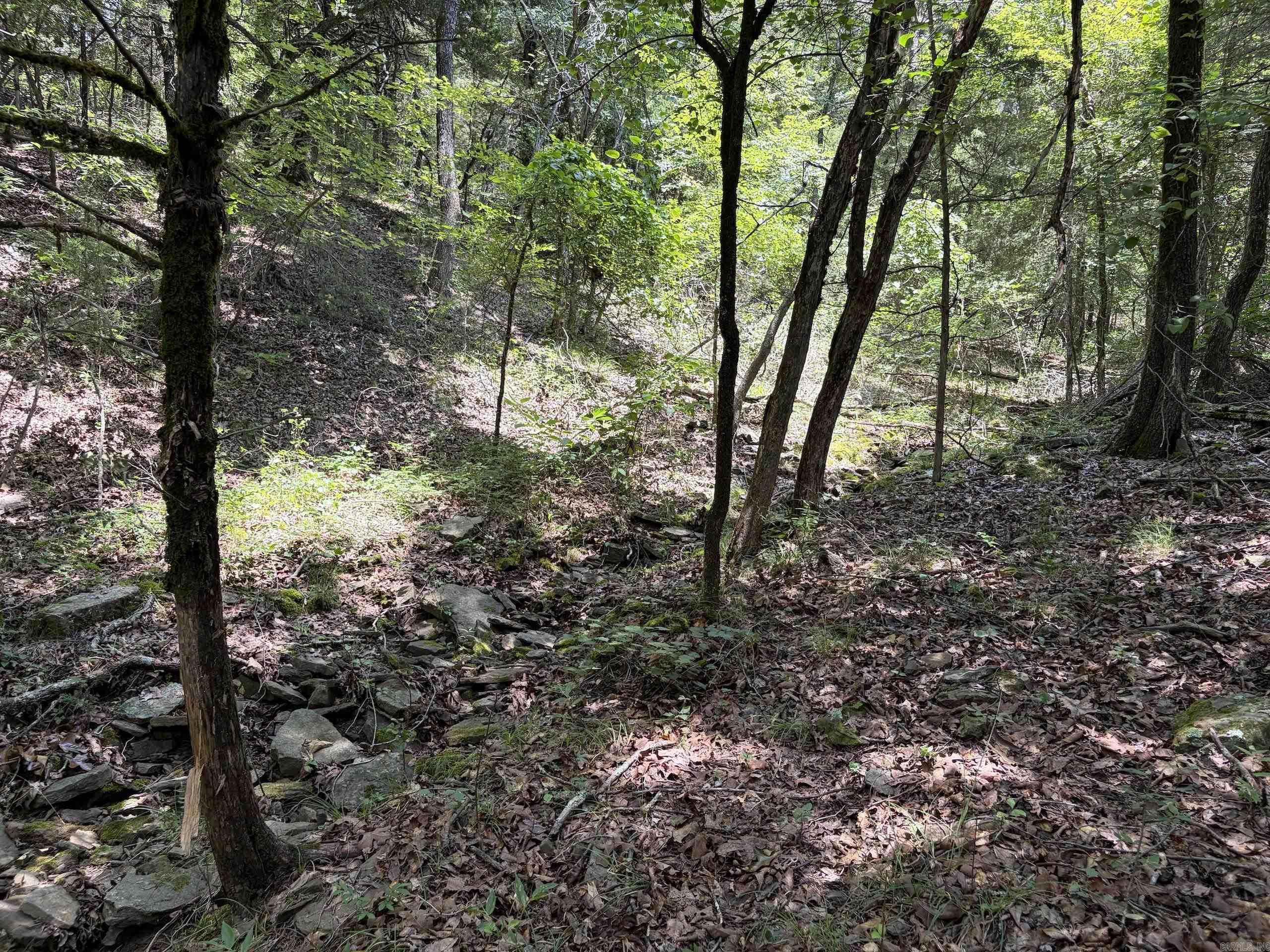 000 Merryman Road  Clinton, AR