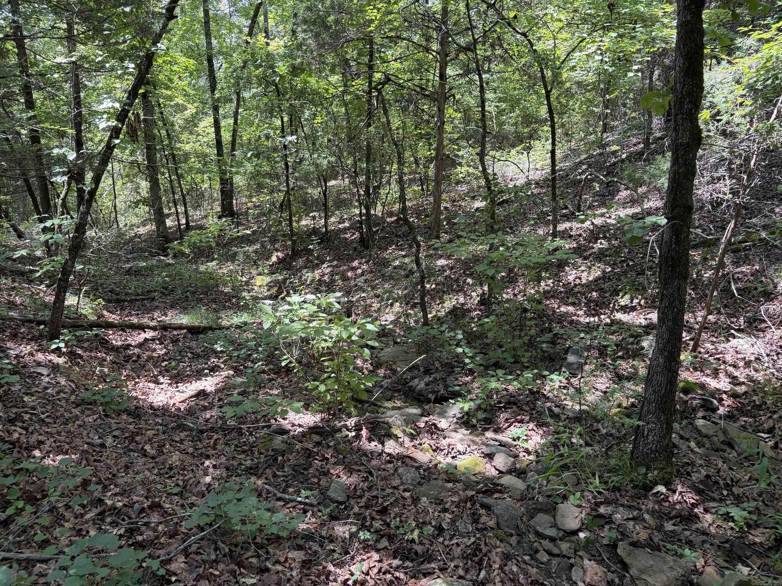 000 Merryman Road  Clinton, AR