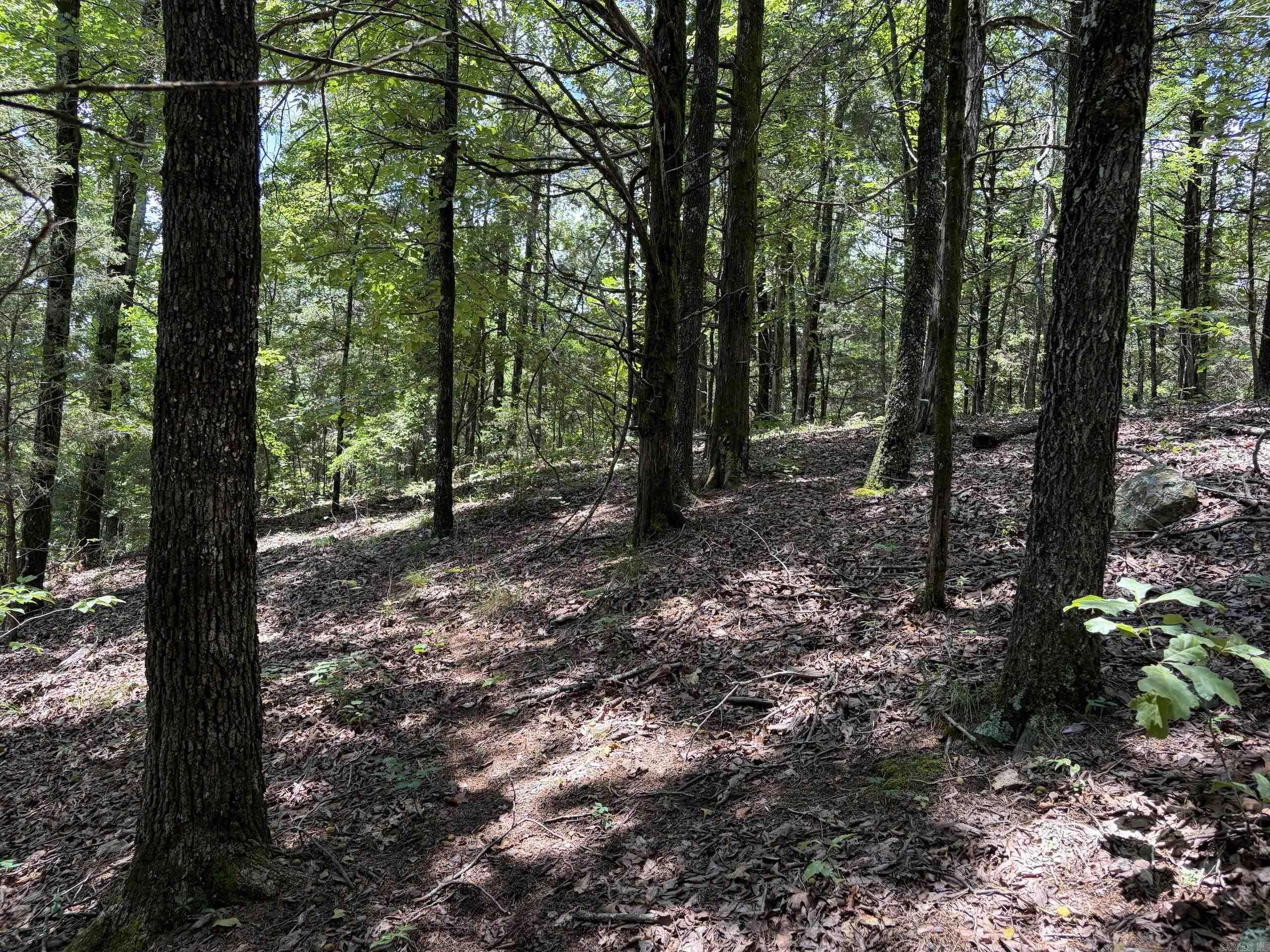 000 Merryman Road  Clinton, AR