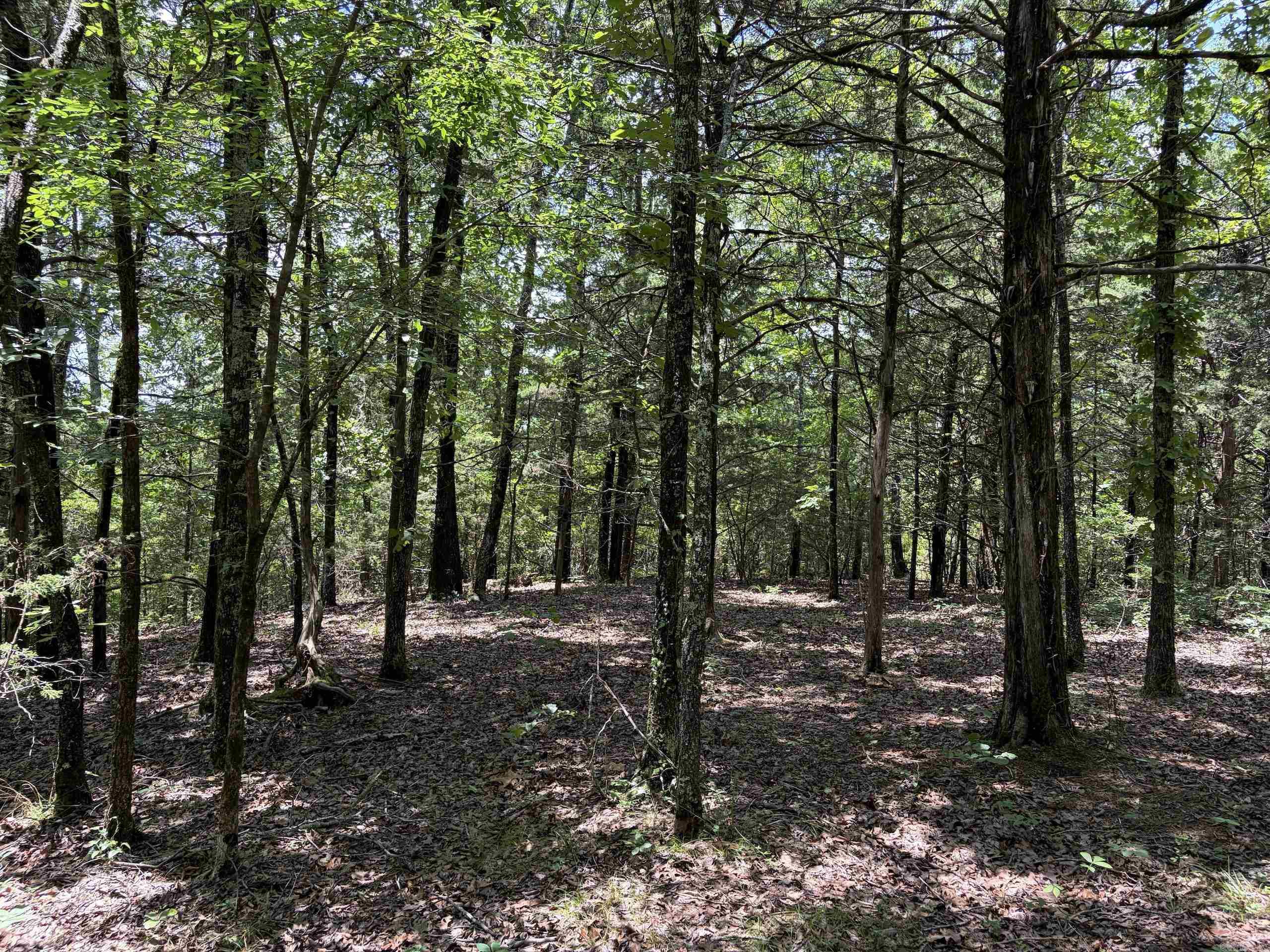000 Merryman Road  Clinton, AR