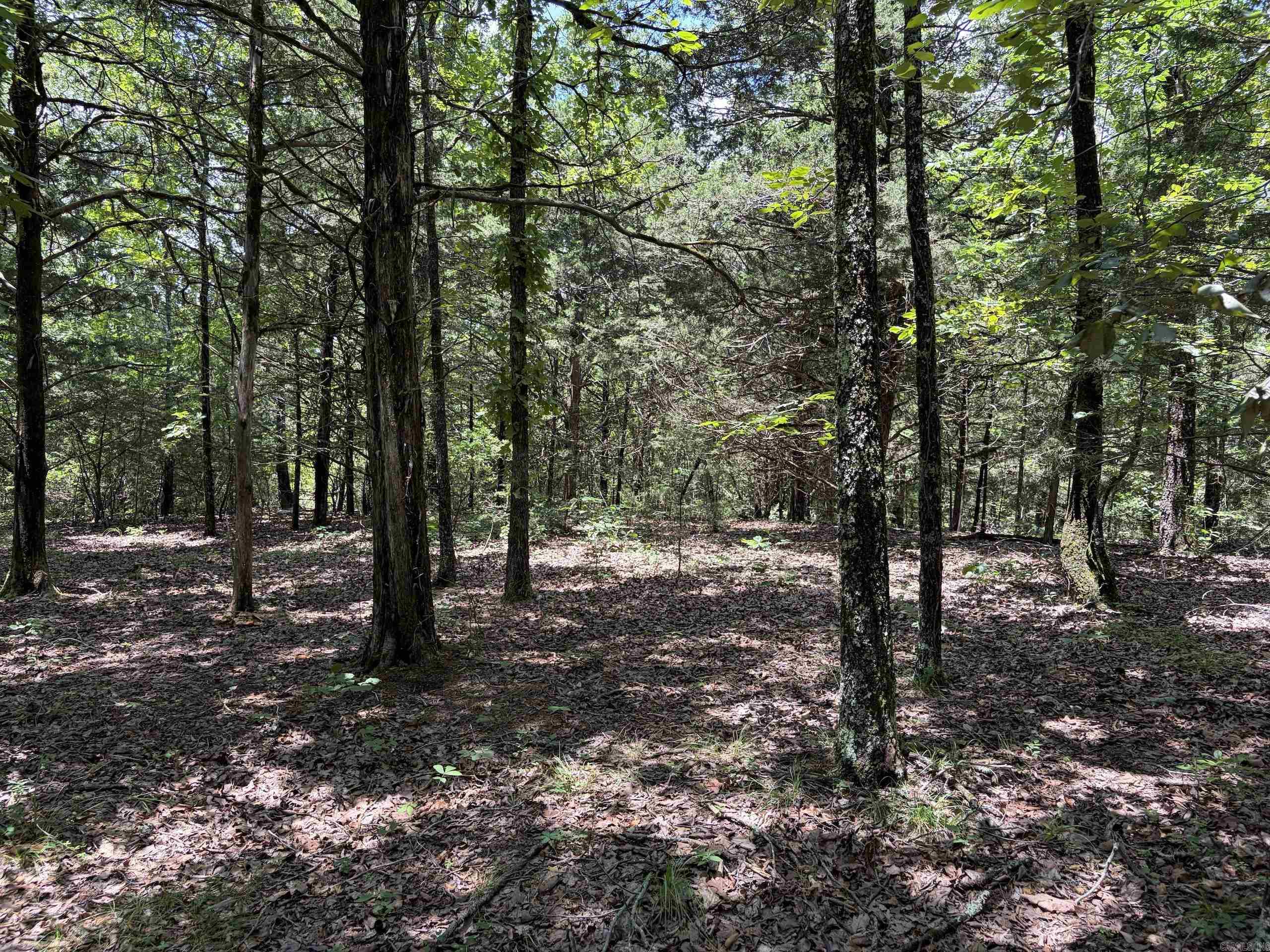 000 Merryman Road  Clinton, AR
