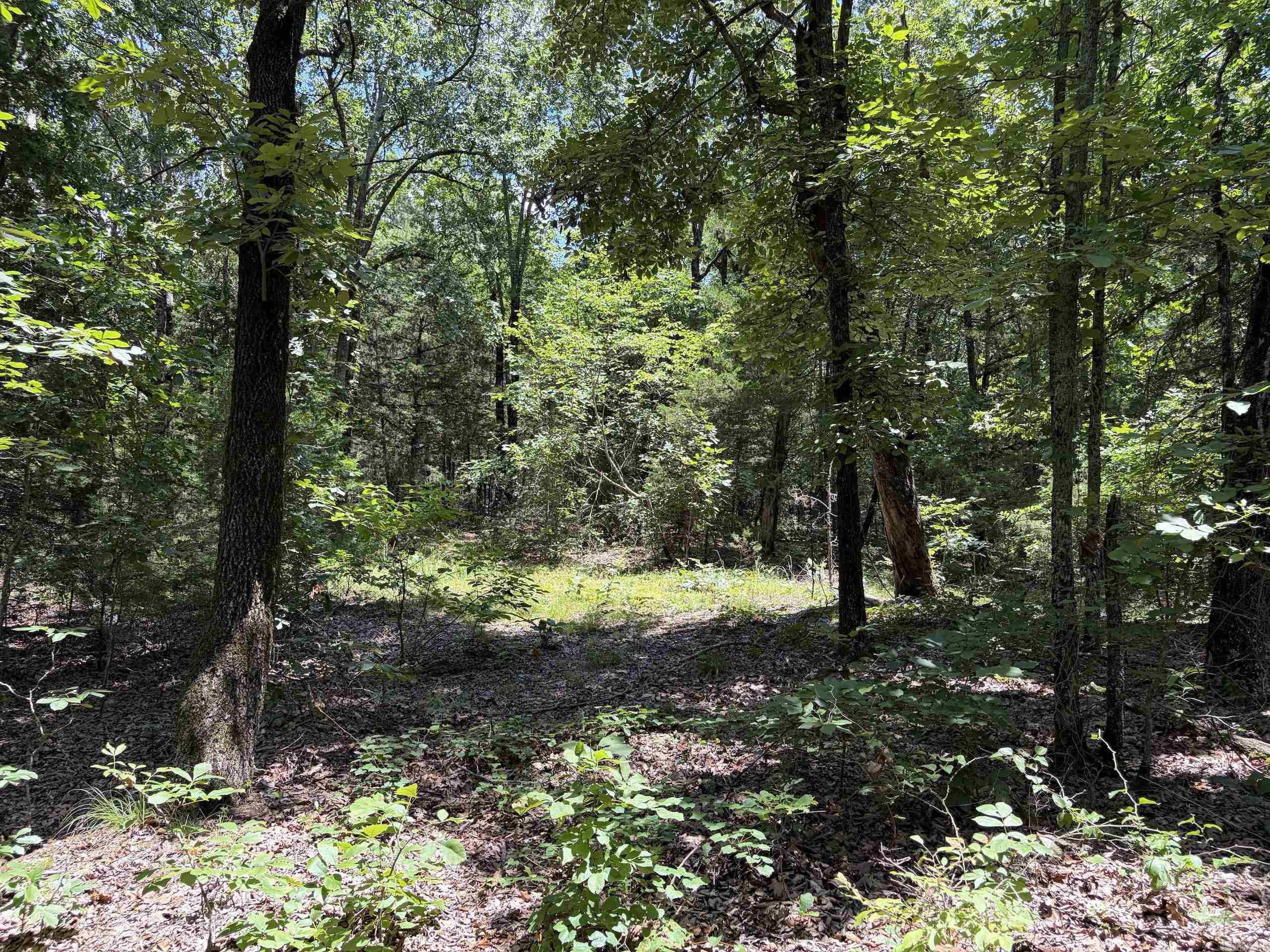 000 Merryman Road  Clinton, AR