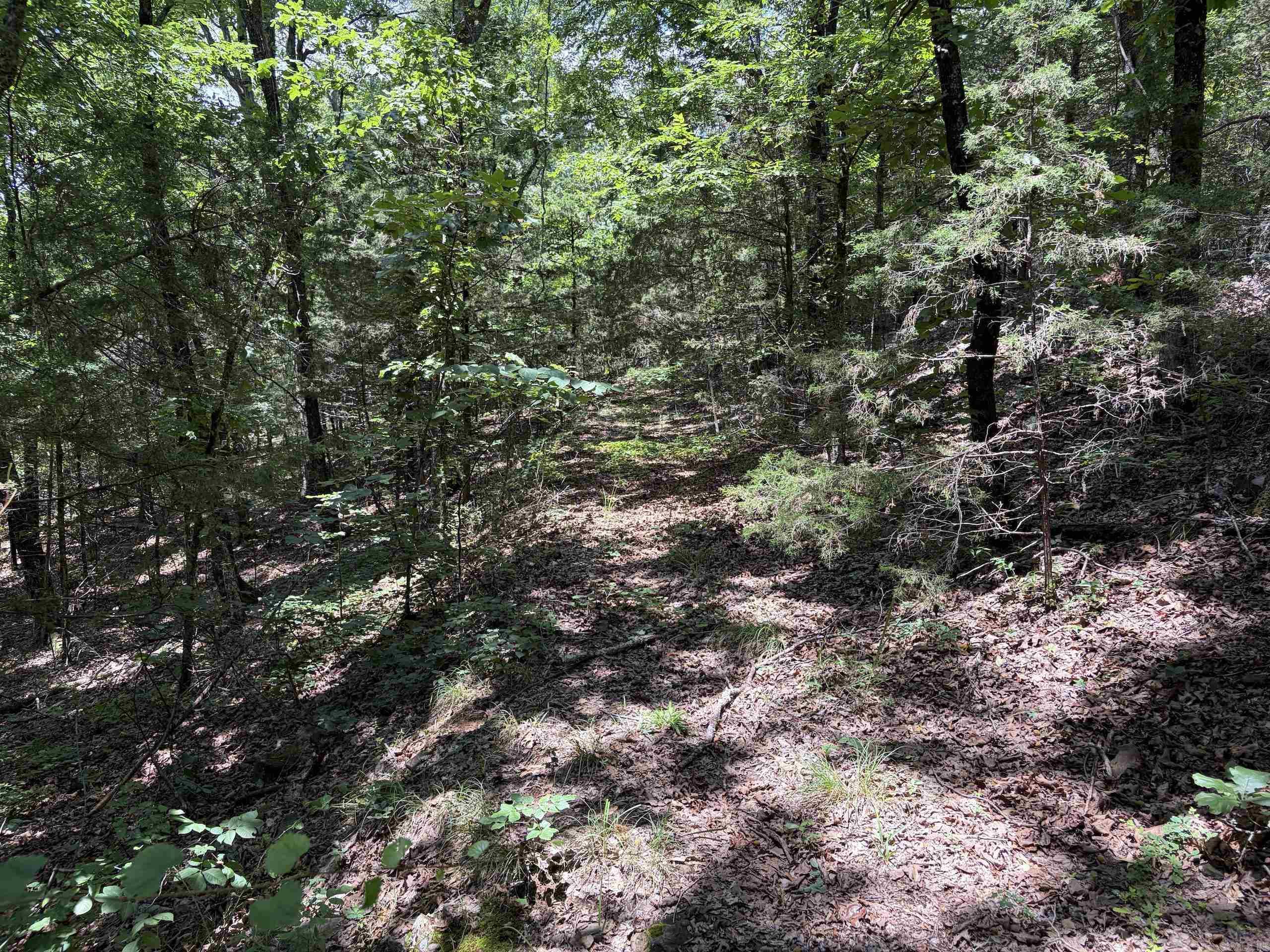 000 Merryman Road  Clinton, AR
