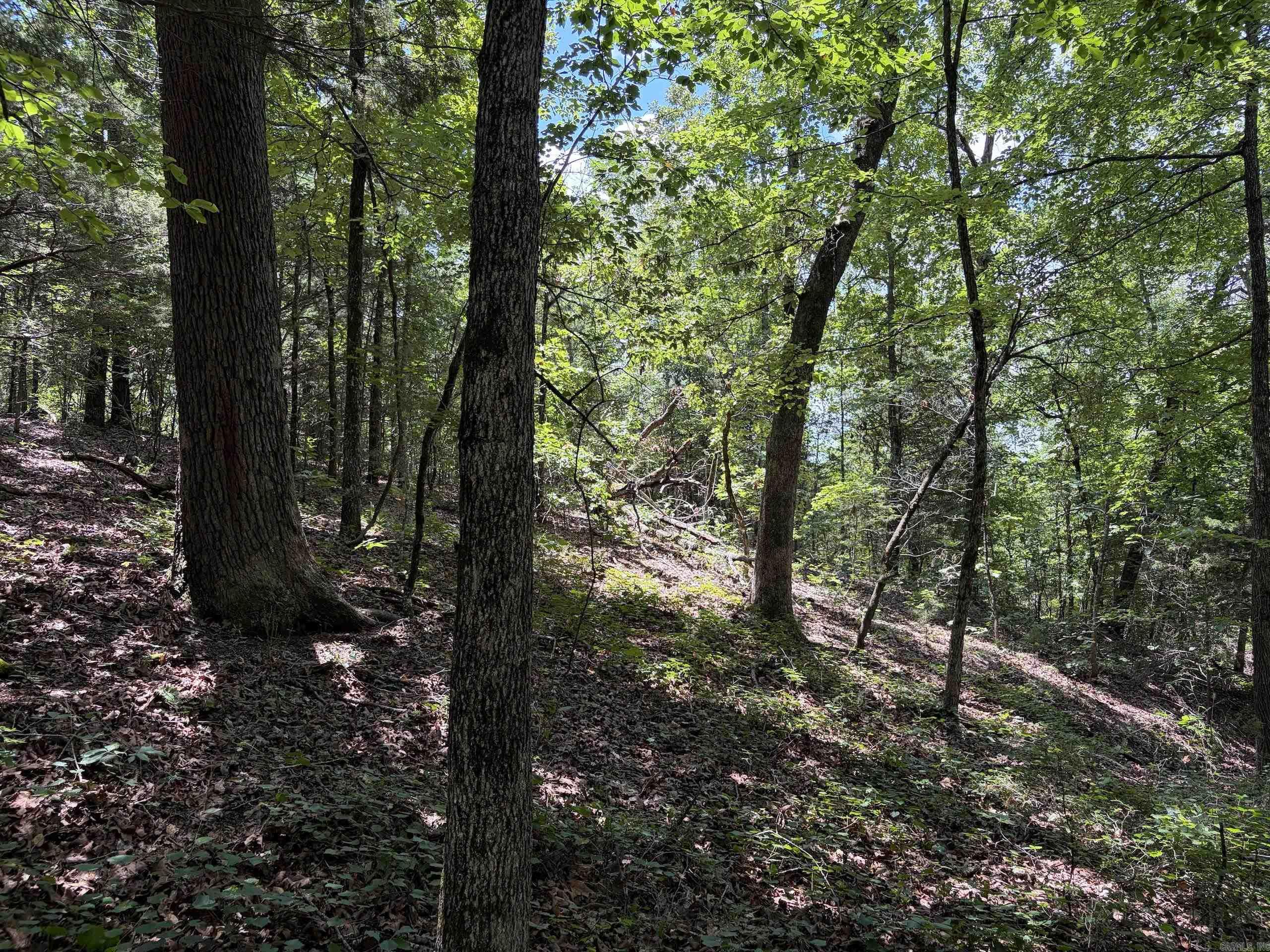 000 Merryman Road  Clinton, AR