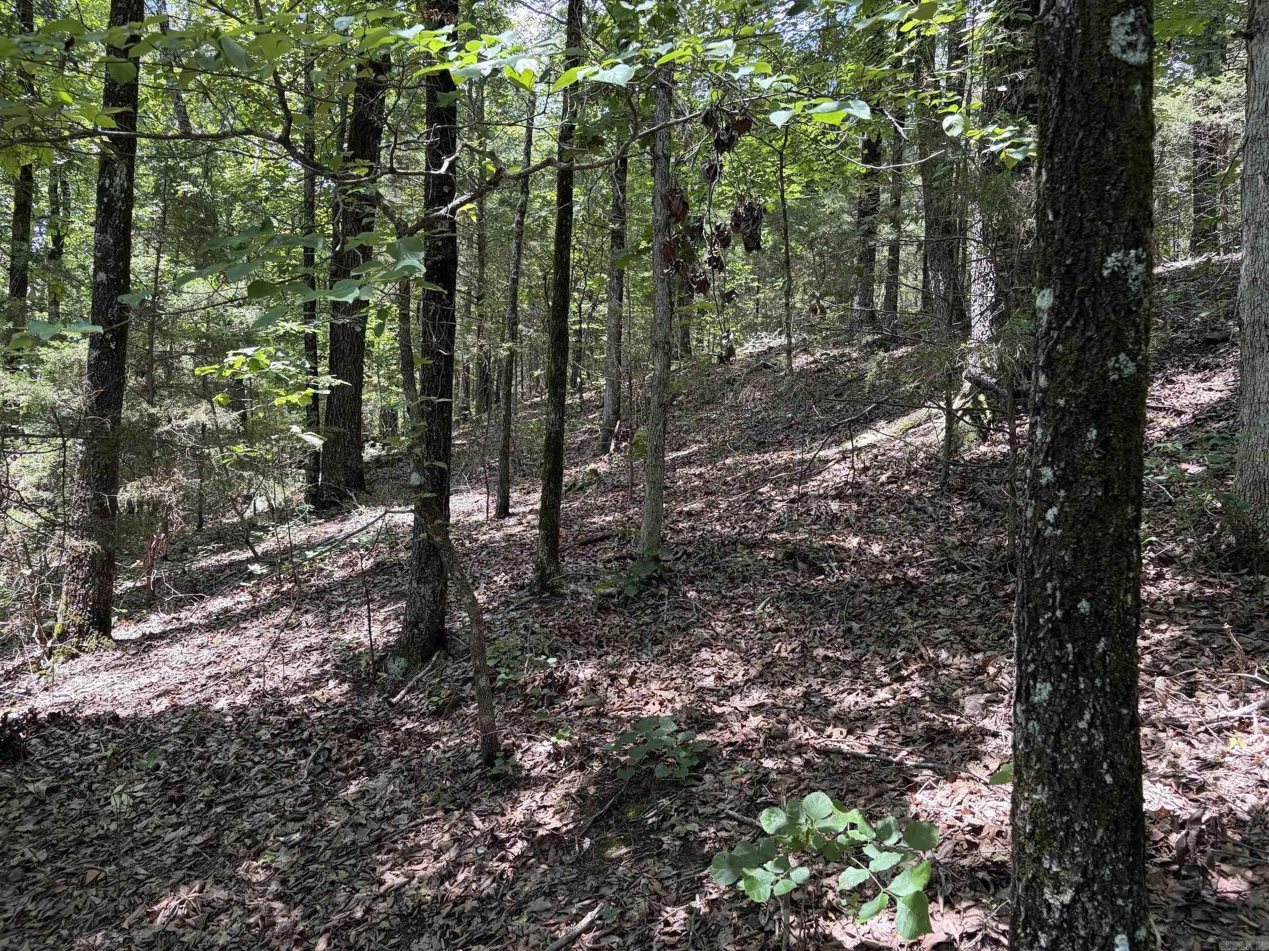 000 Merryman Road  Clinton, AR