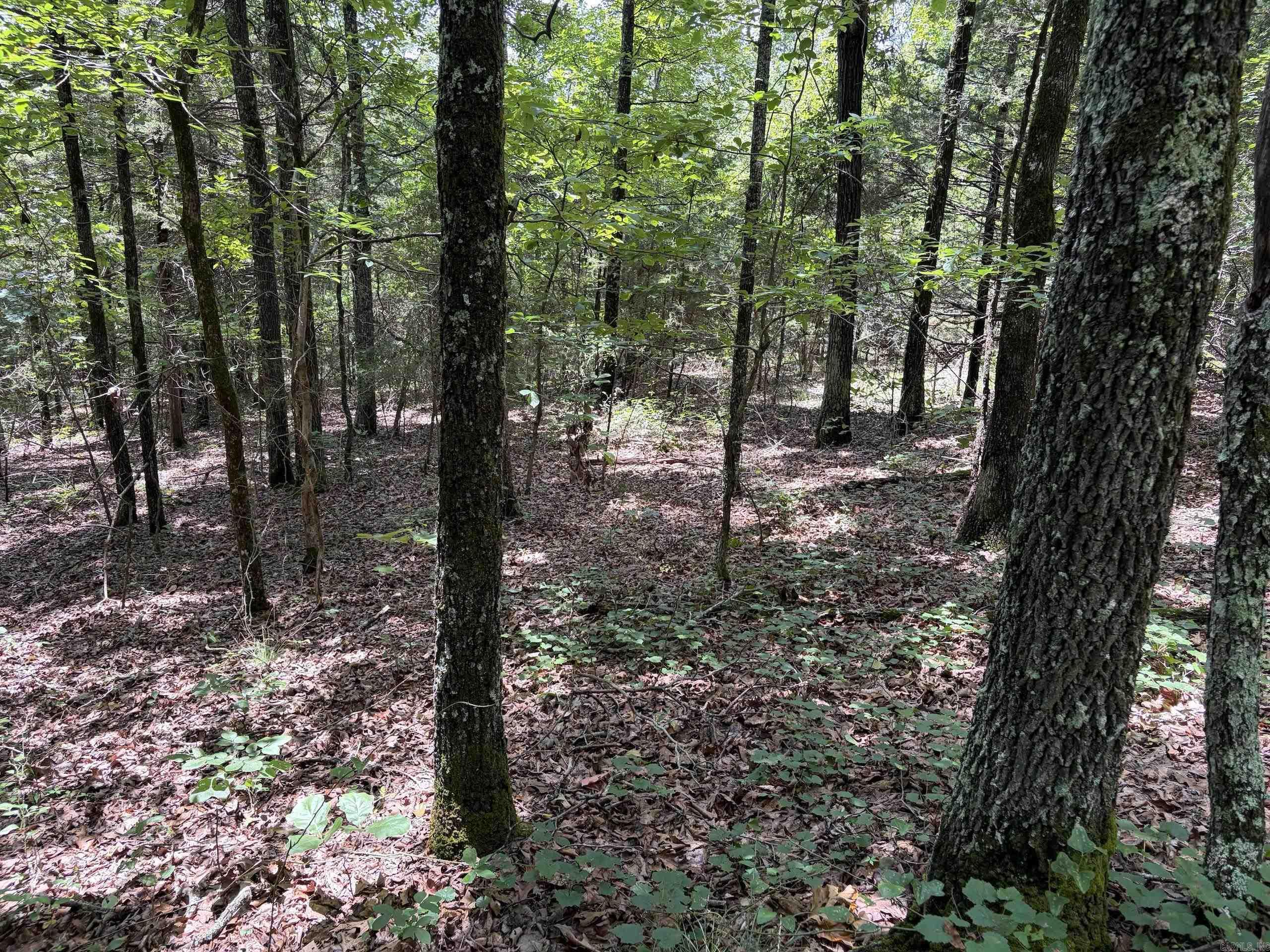 000 Merryman Road  Clinton, AR