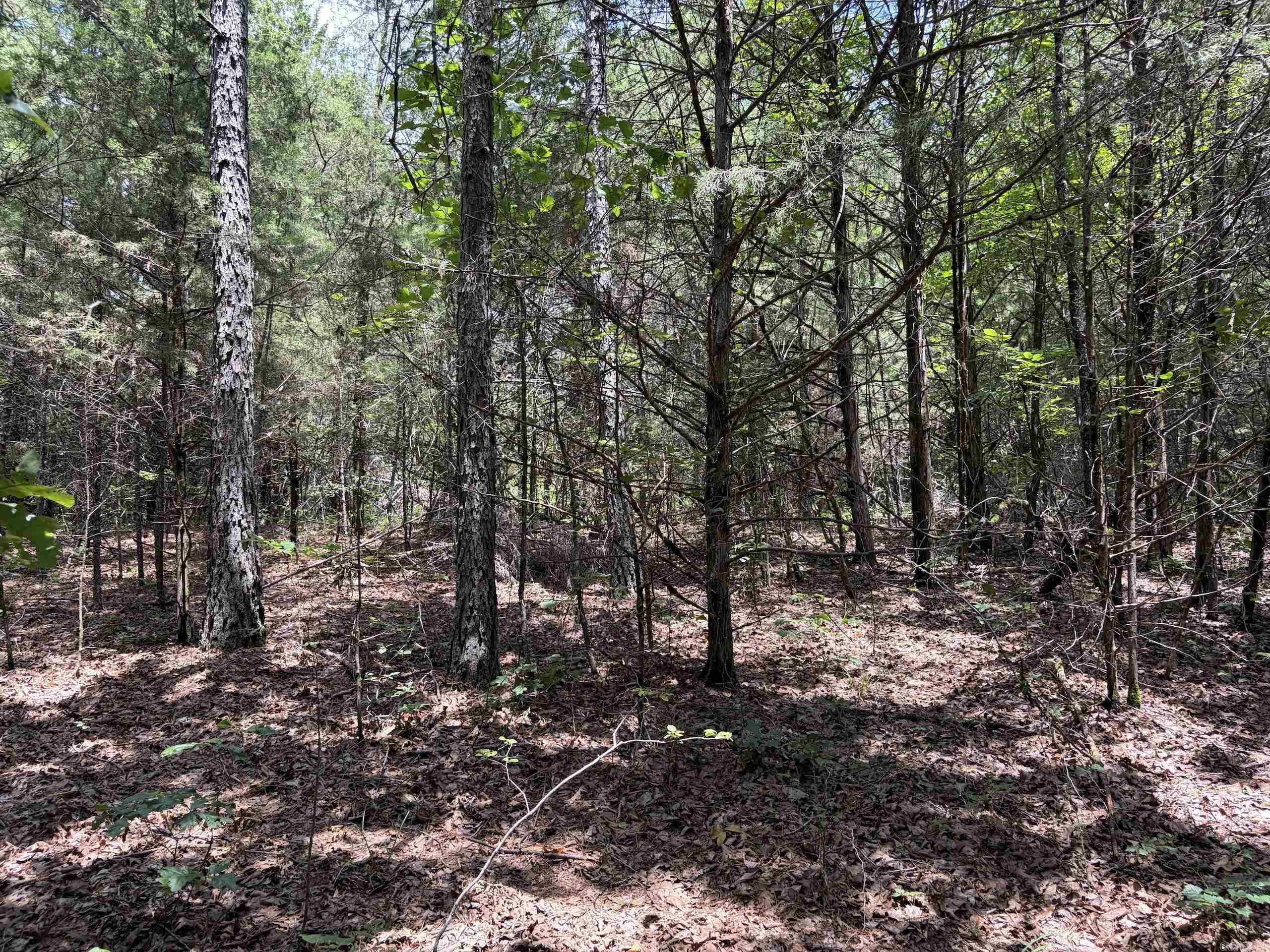 000 Merryman Road  Clinton, AR