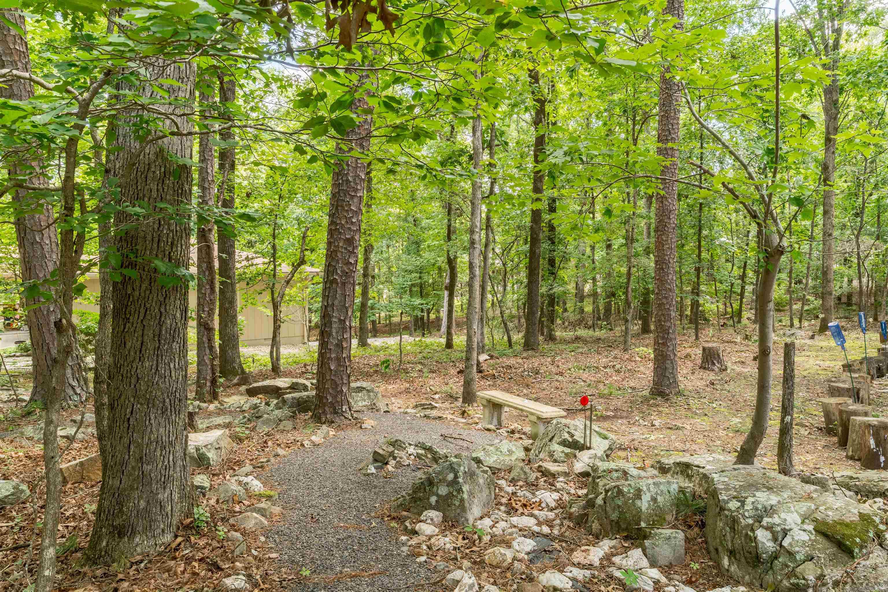 1 Mapache  Hot Springs Village, AR