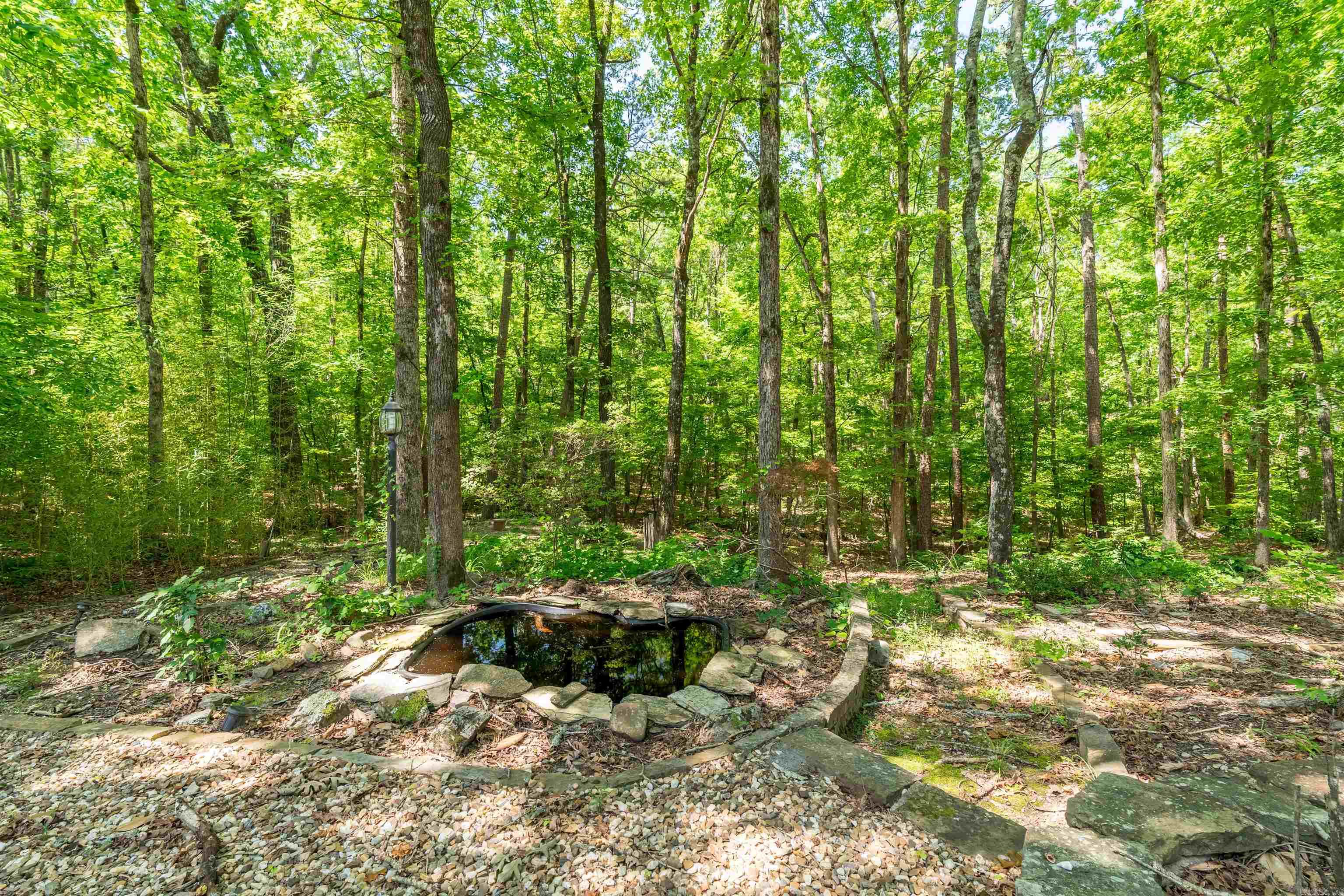 3 Gorrion  Hot Springs Village, AR