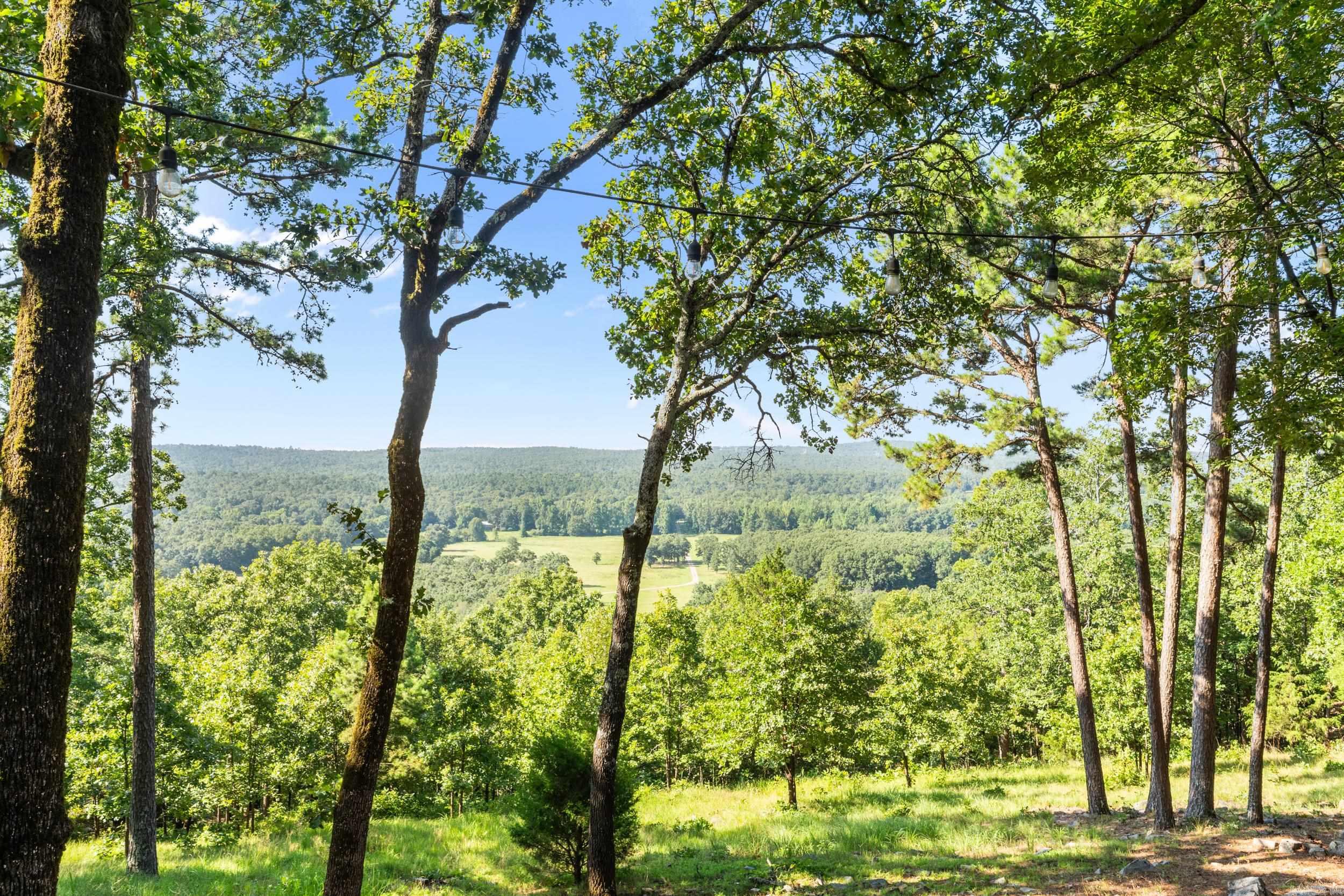 4135 Zachary Trail  Conway, AR