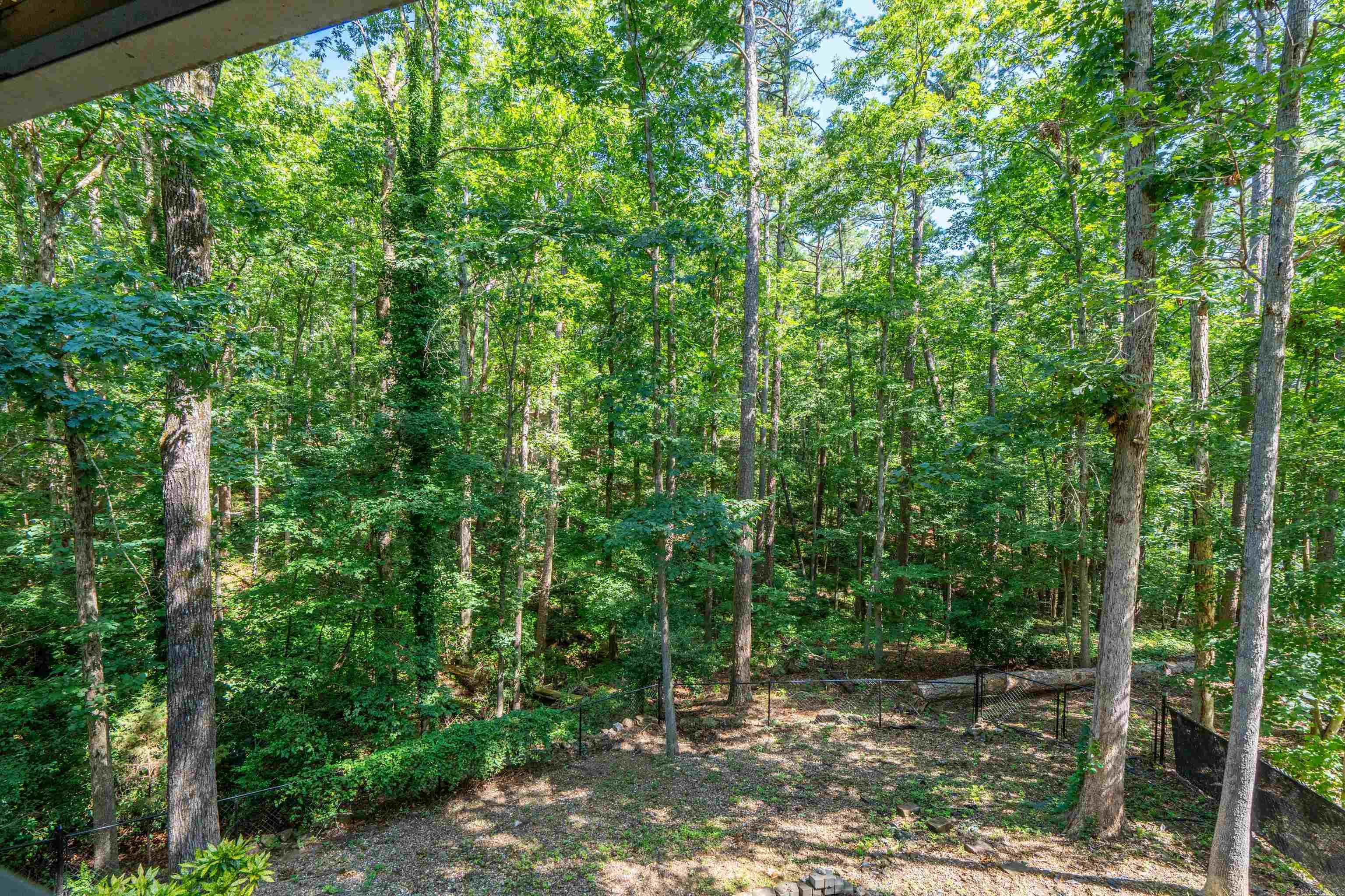 28 Alina  Hot Springs Village, AR