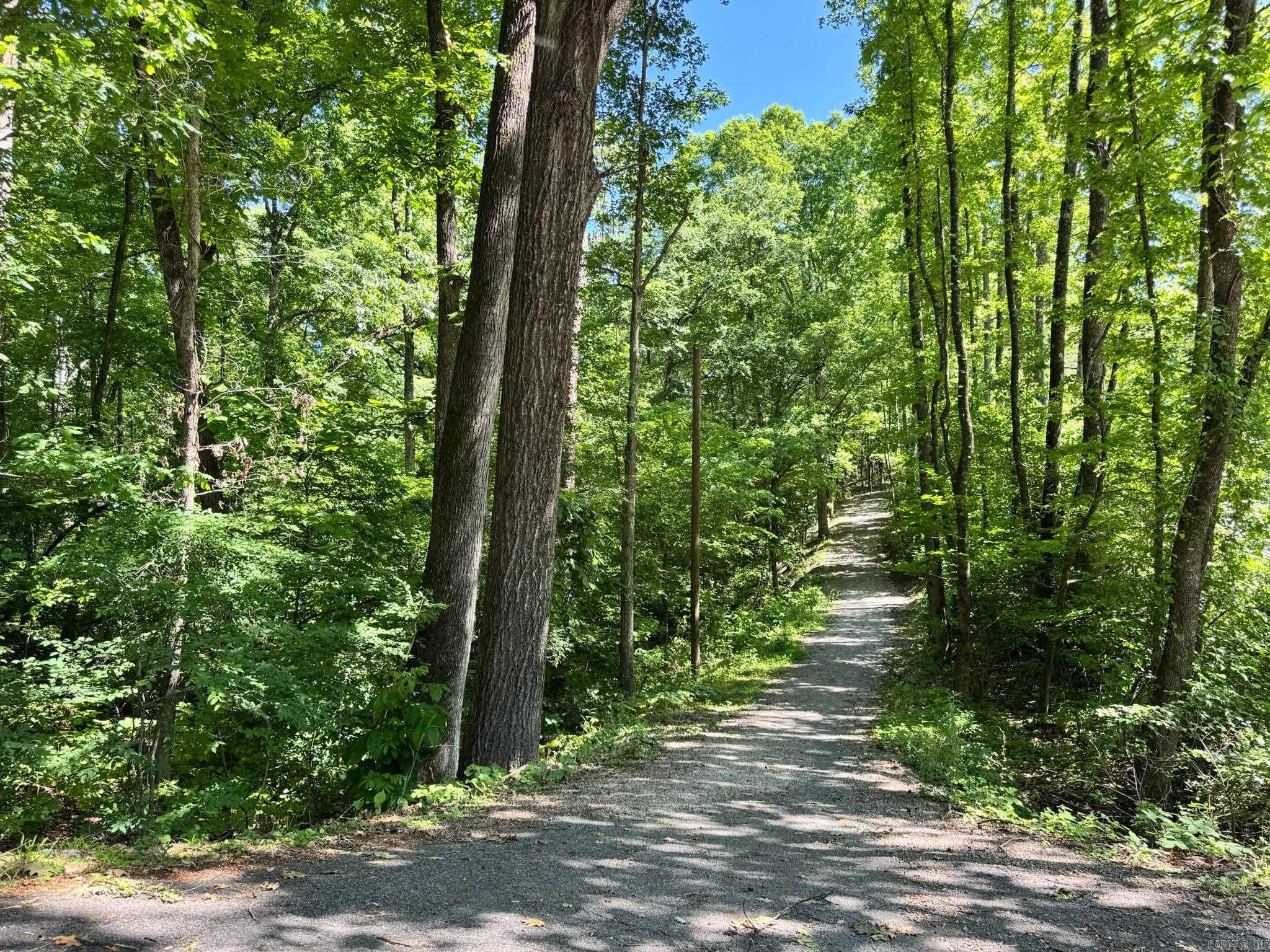 28 Alina  Hot Springs Village, AR