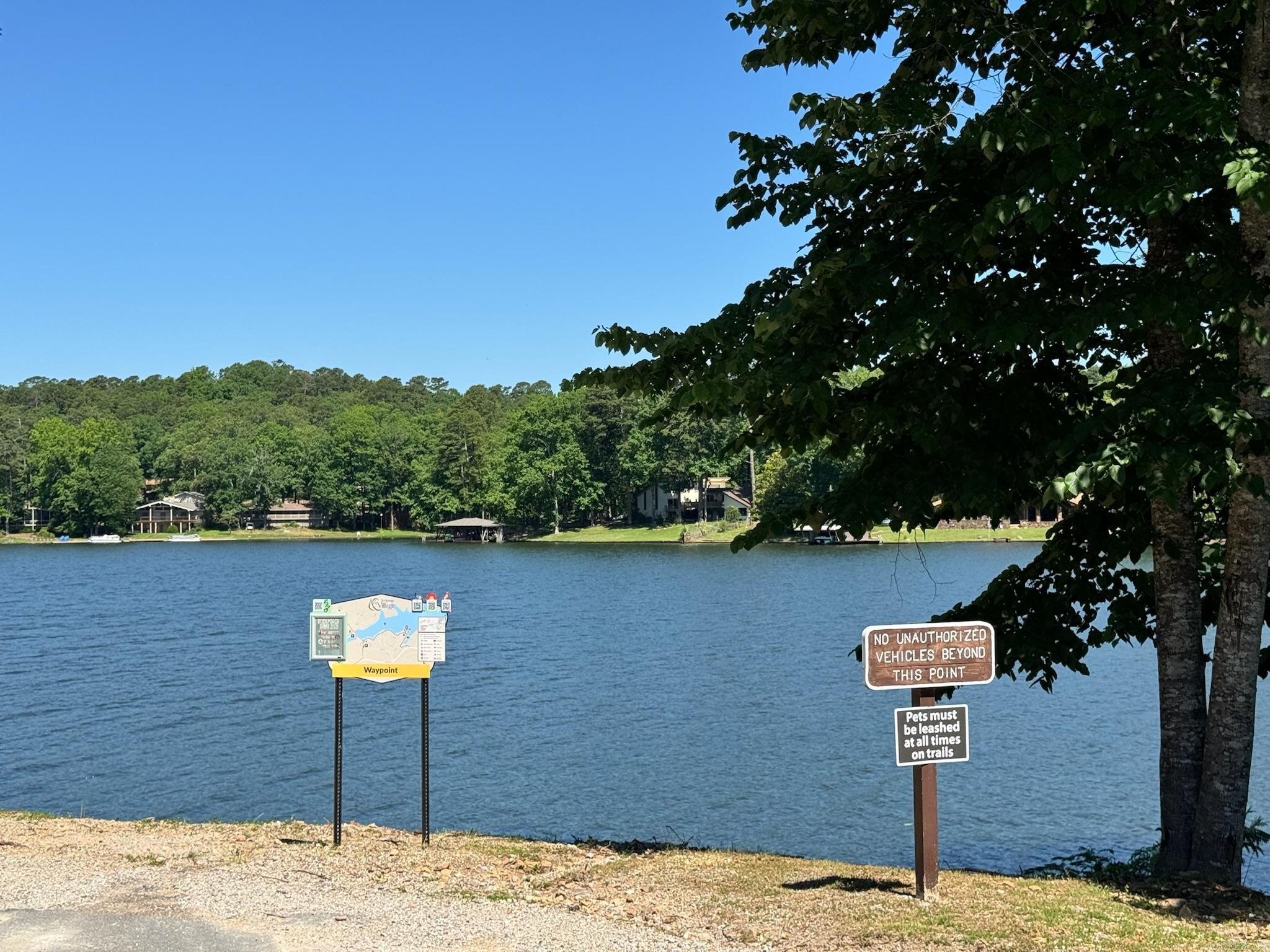 28 Alina  Hot Springs Village, AR