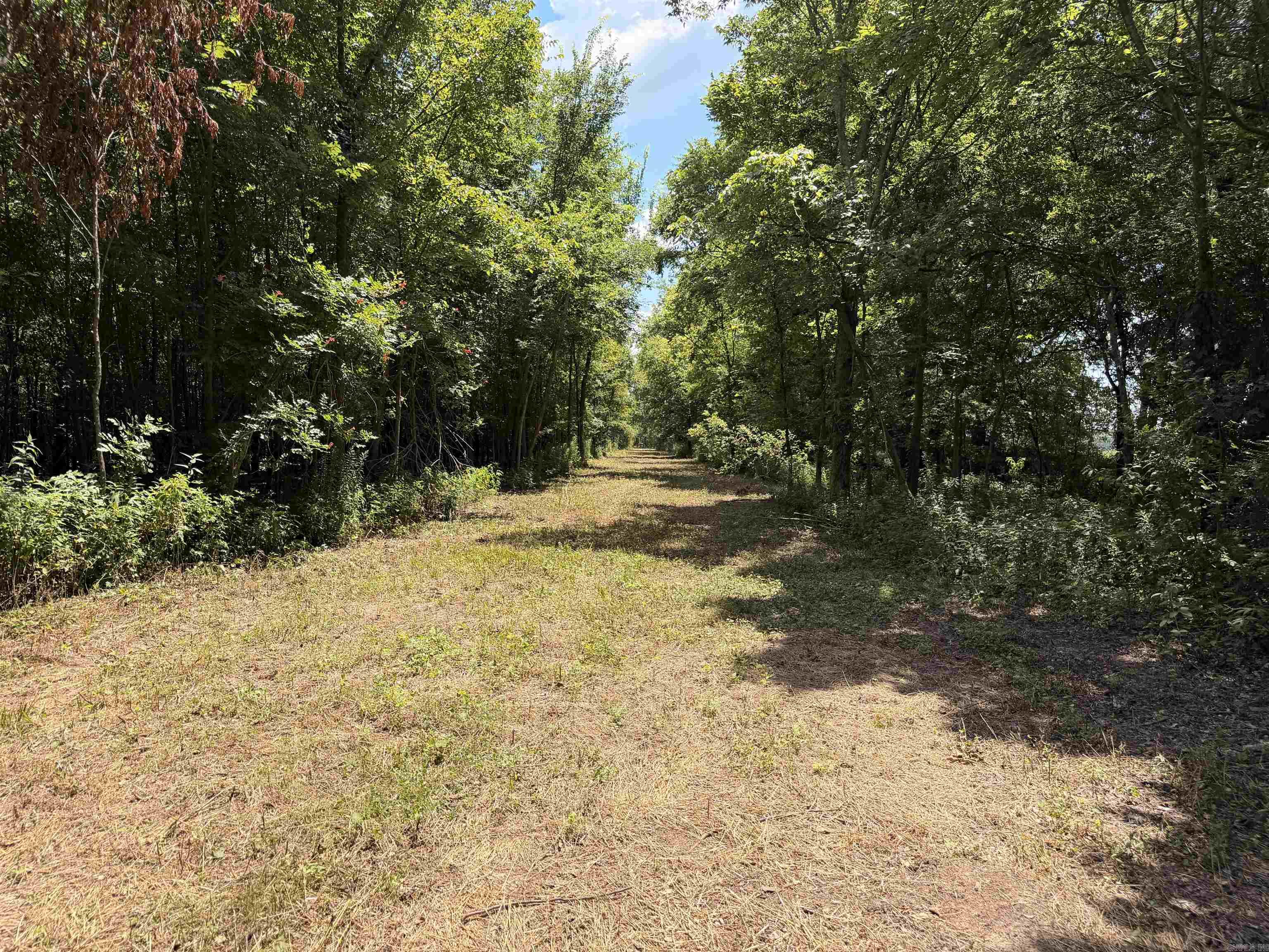 2300 Crooked Creek  Humphrey, AR