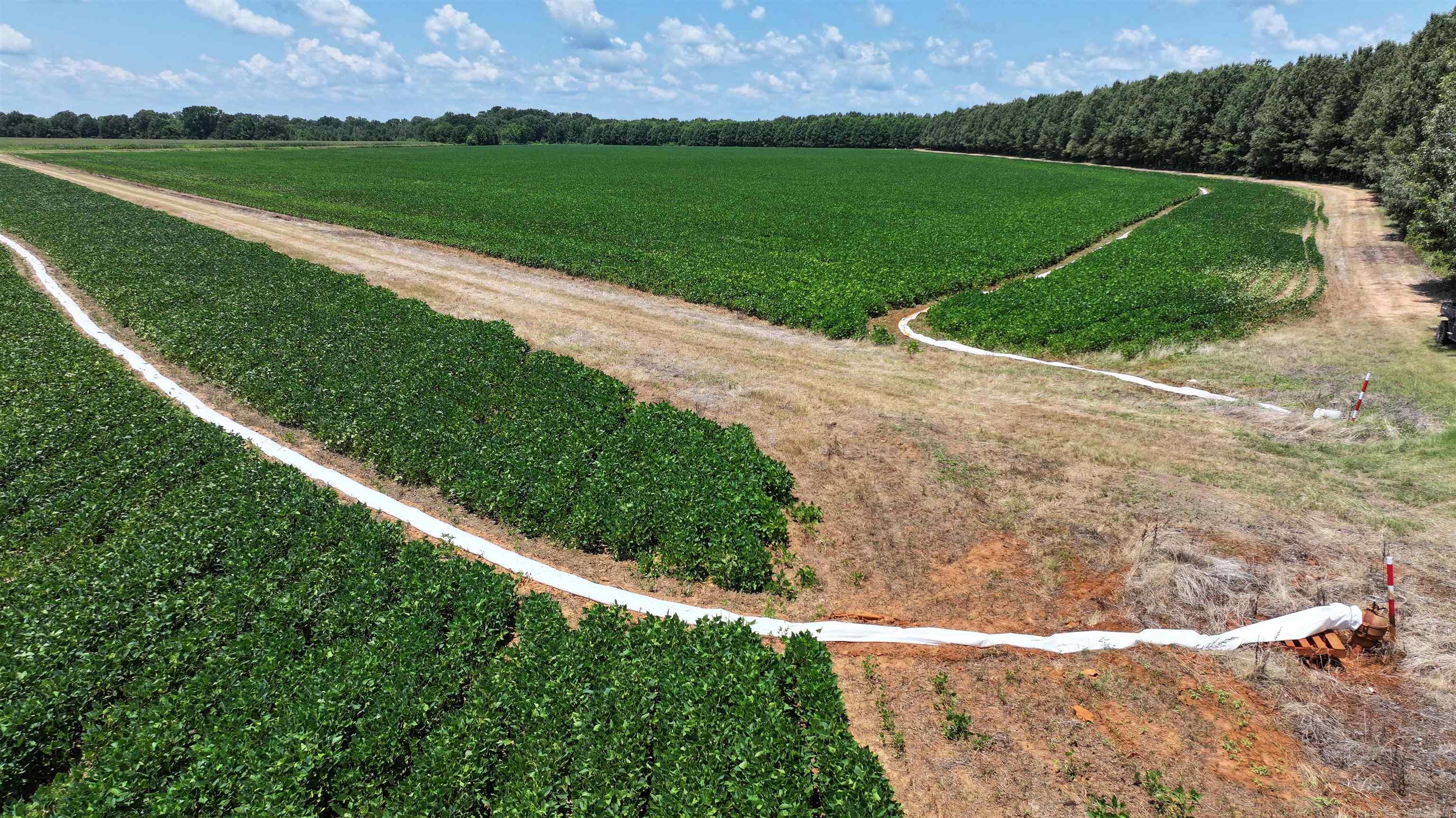 2300 Crooked Creek  Humphrey, AR