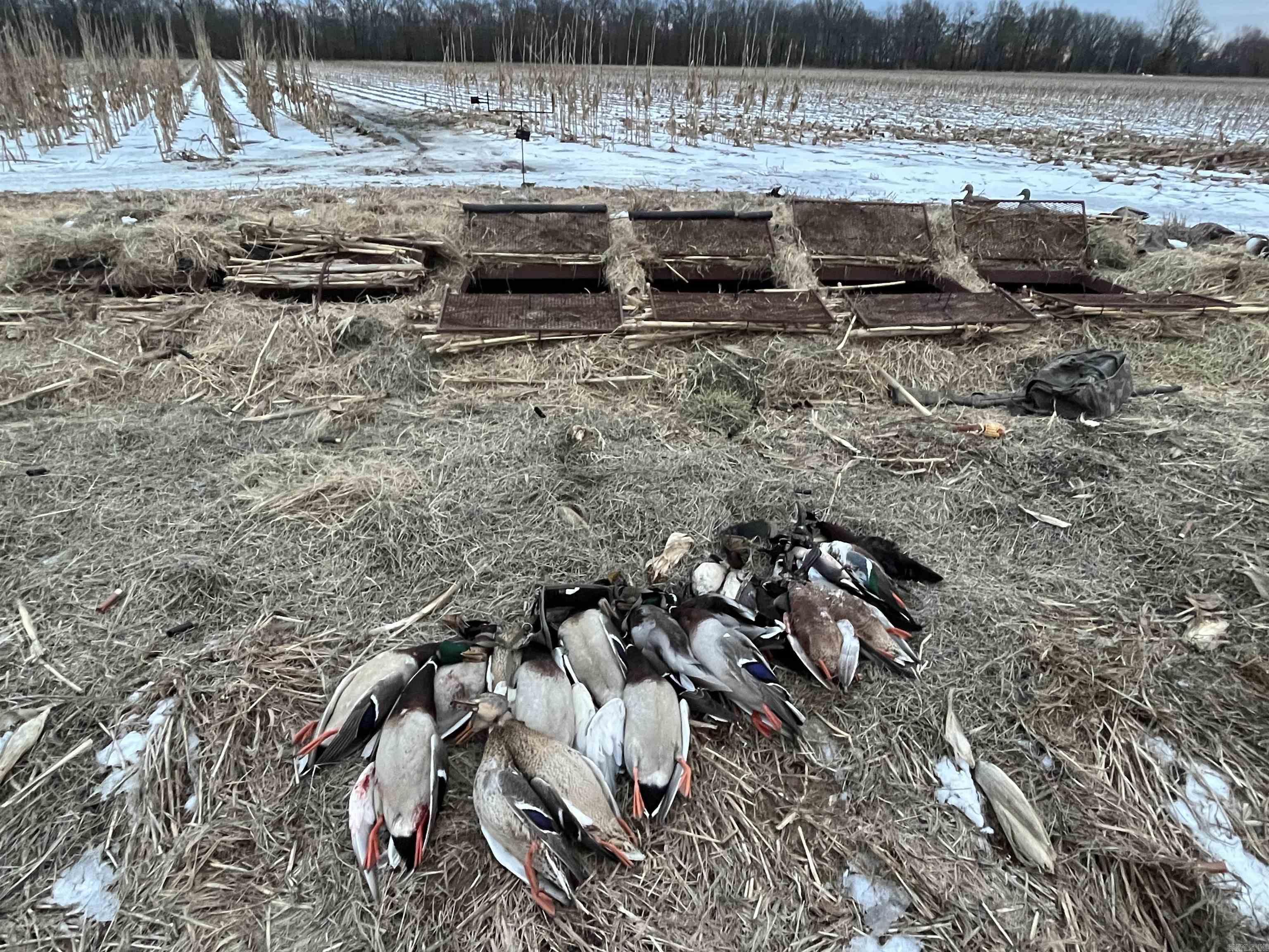 2300 Crooked Creek  Humphrey, AR