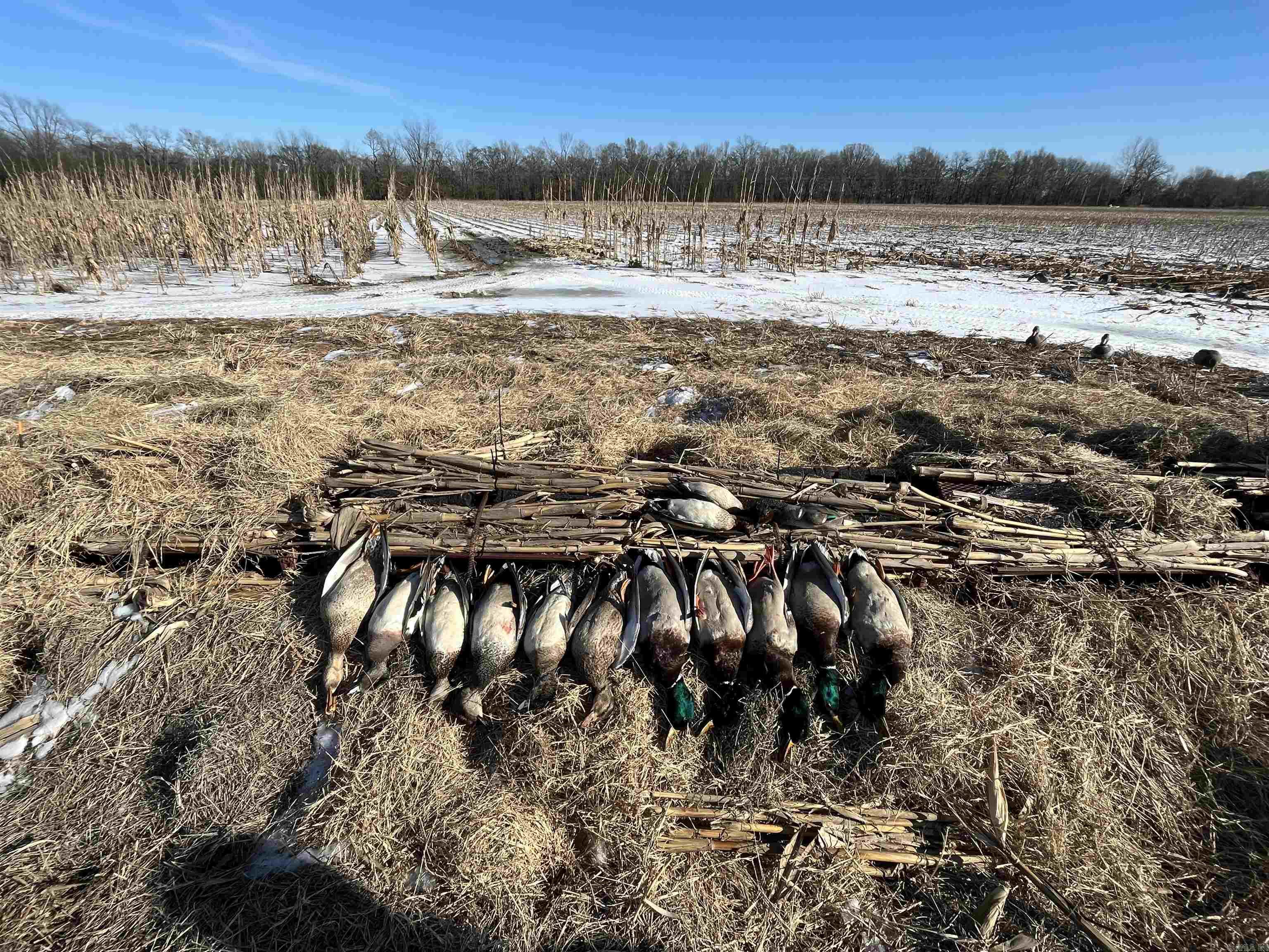 2300 Crooked Creek  Humphrey, AR