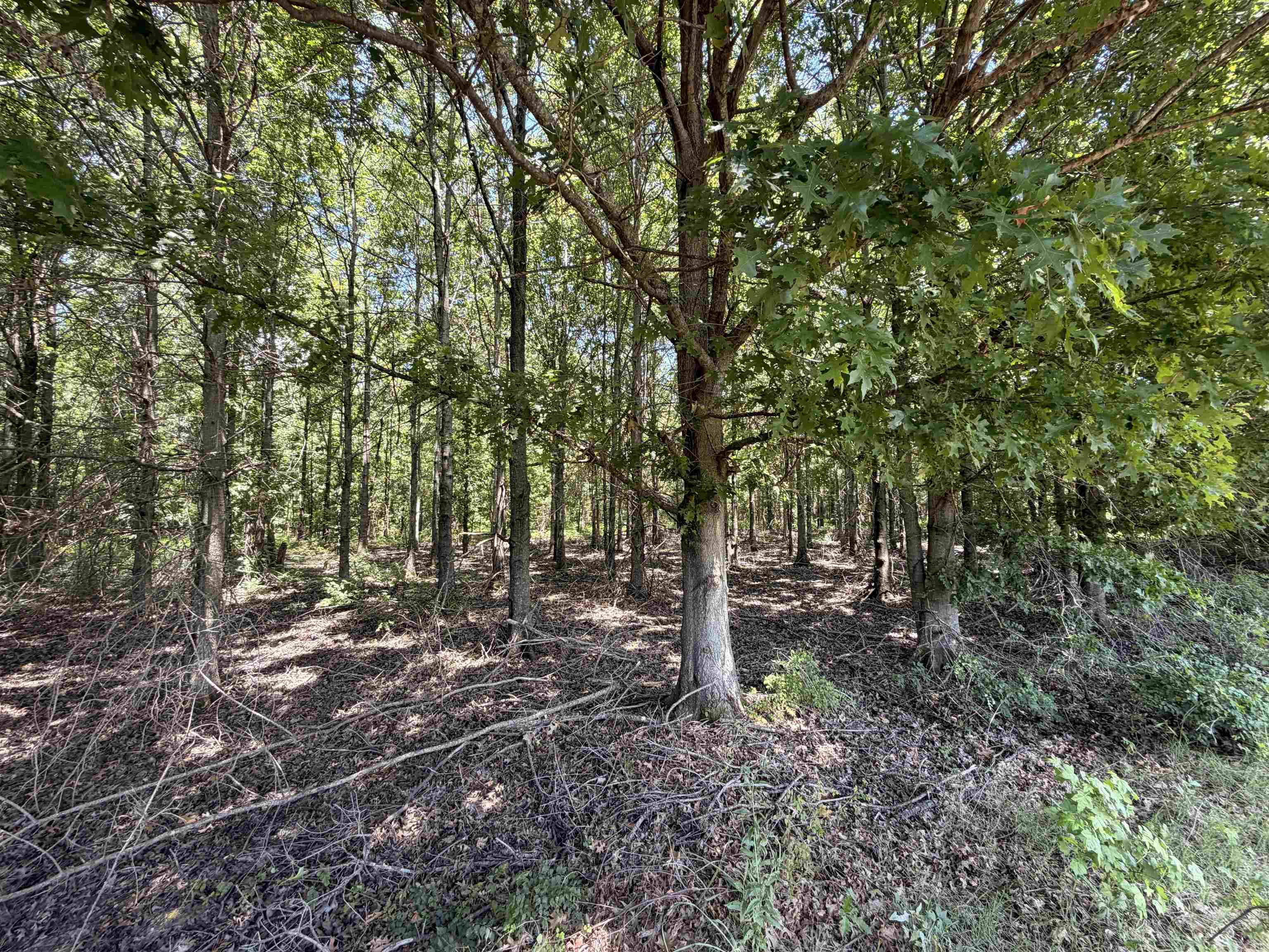 2300 Crooked Creek  Humphrey, AR