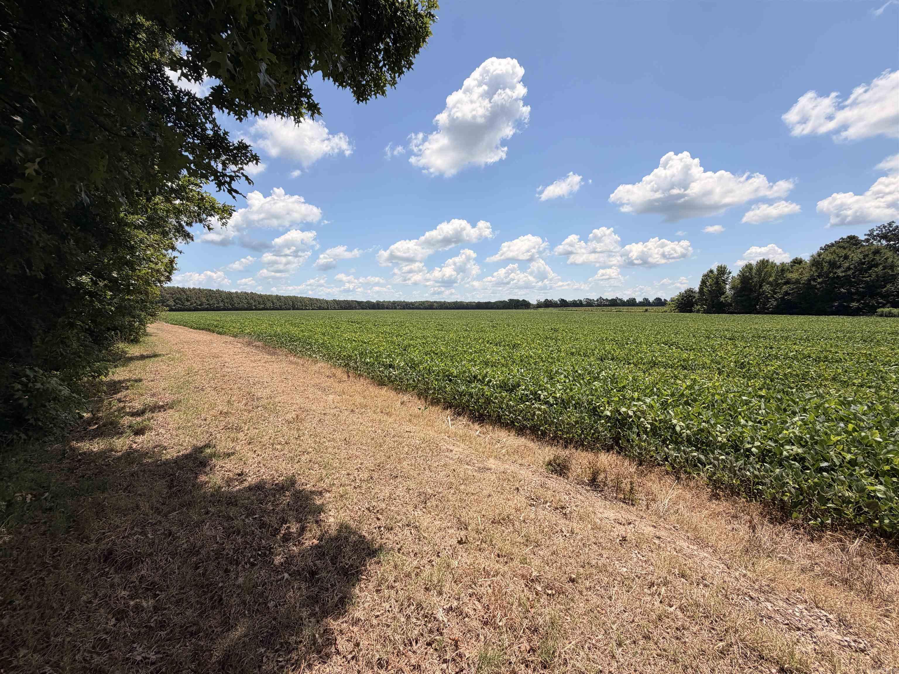 2300 Crooked Creek  Humphrey, AR