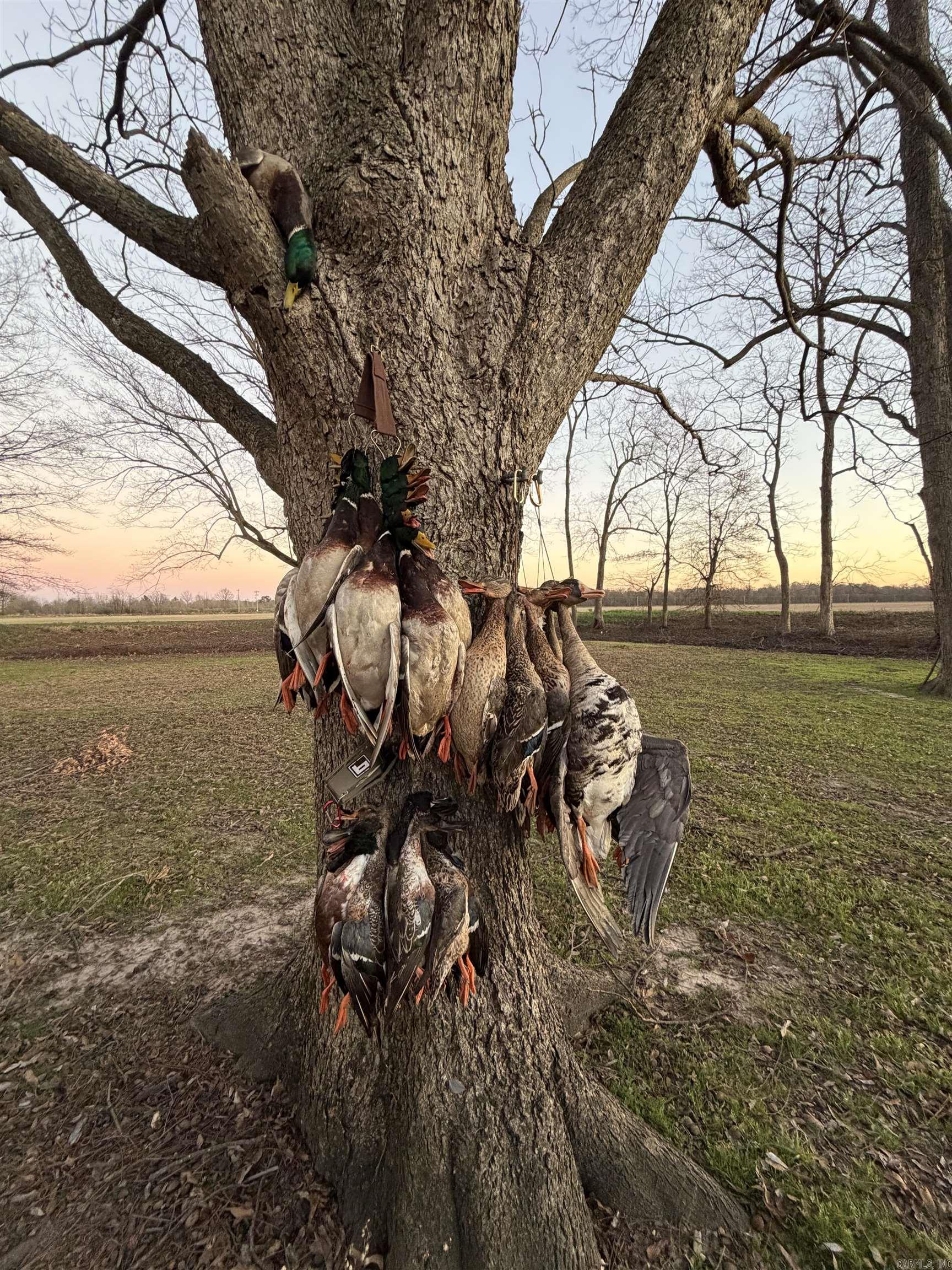 2300 Crooked Creek  Humphrey, AR