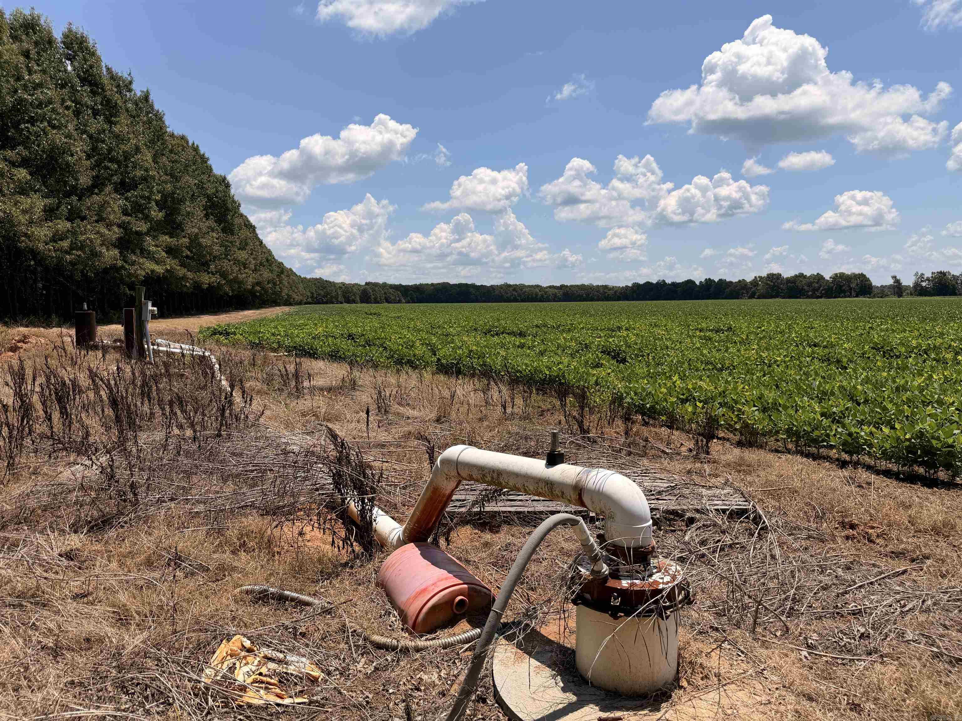 2300 Crooked Creek  Humphrey, AR