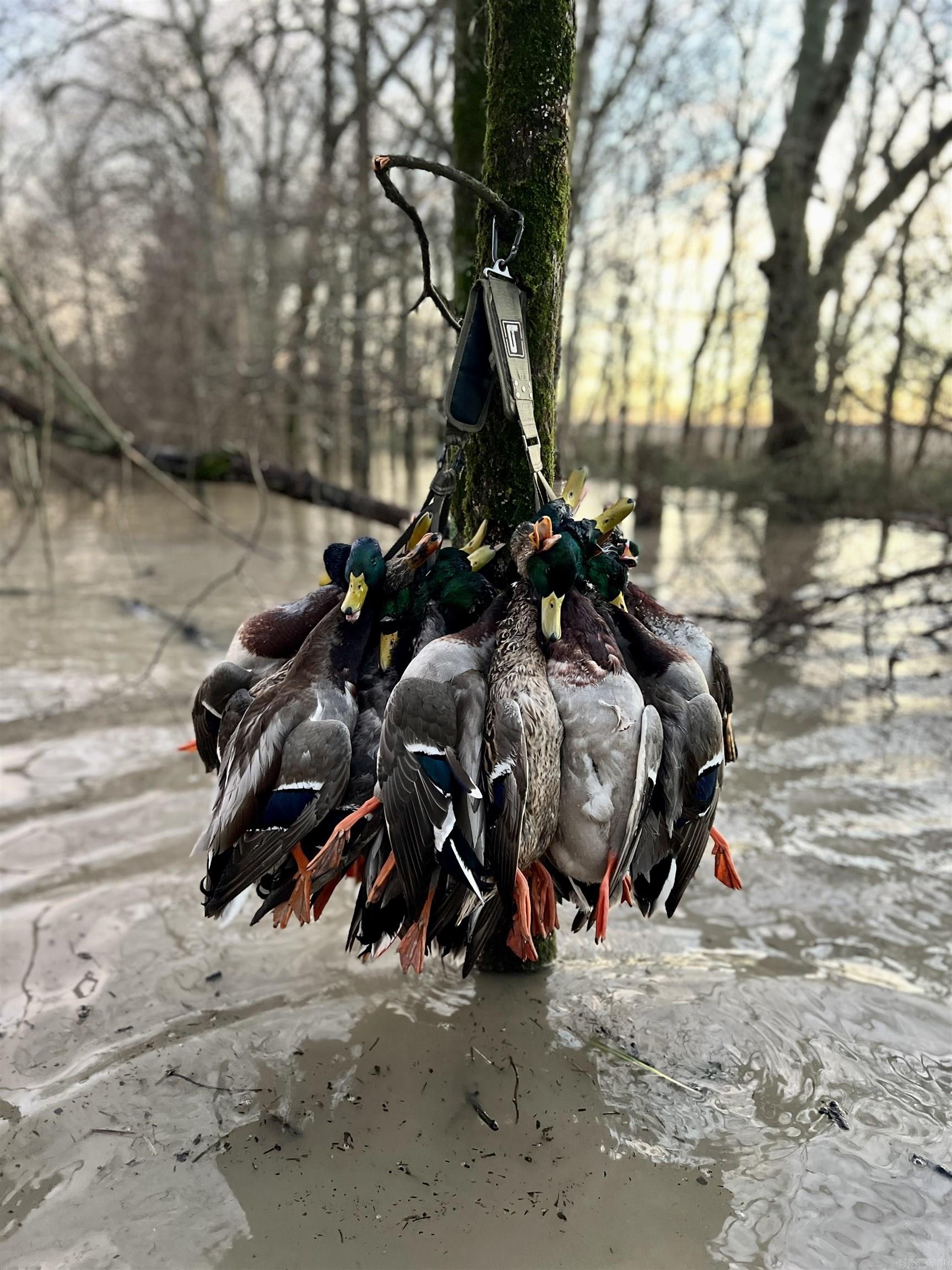 2300 Crooked Creek  Humphrey, AR
