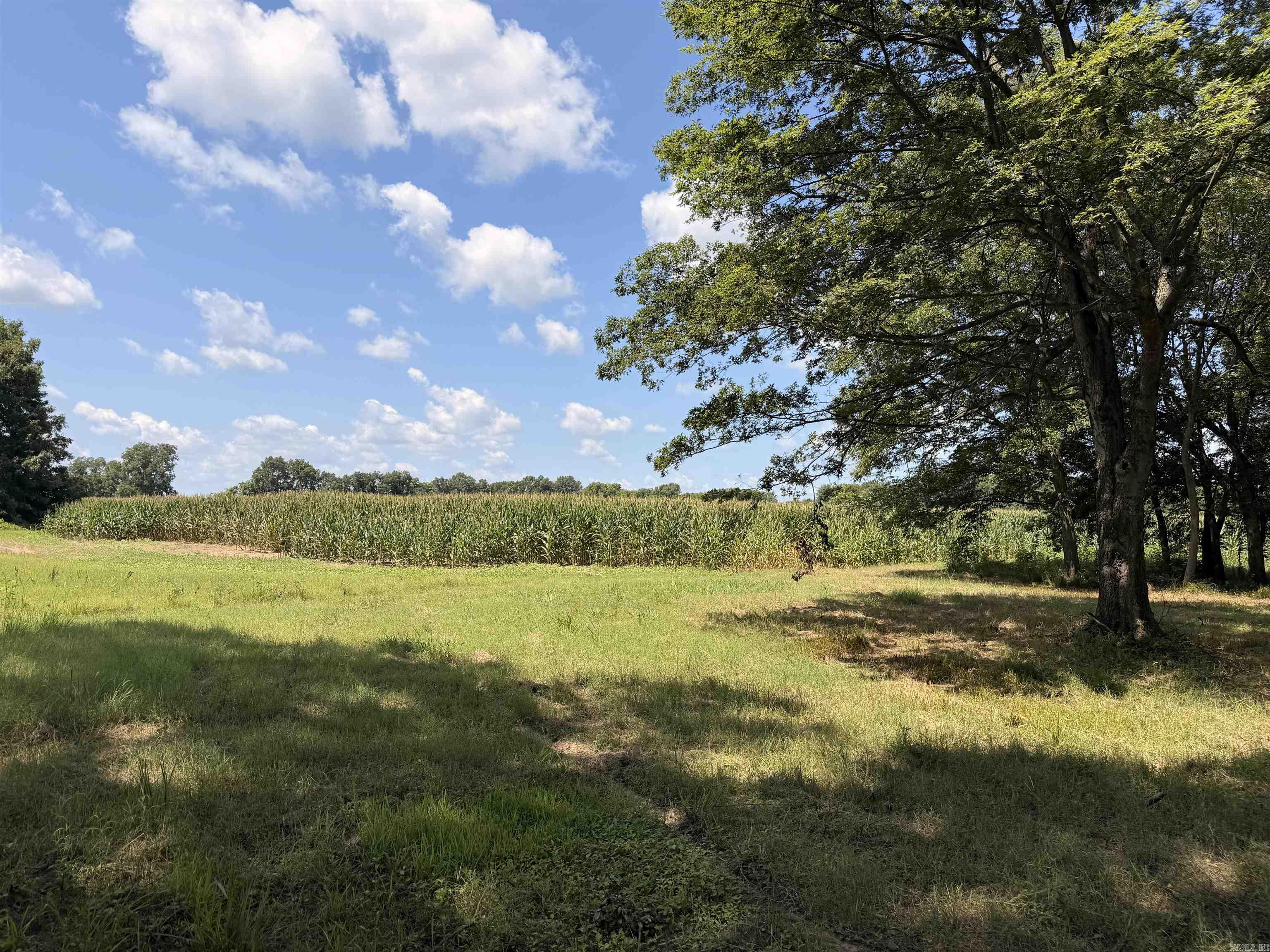 2300 Crooked Creek  Humphrey, AR