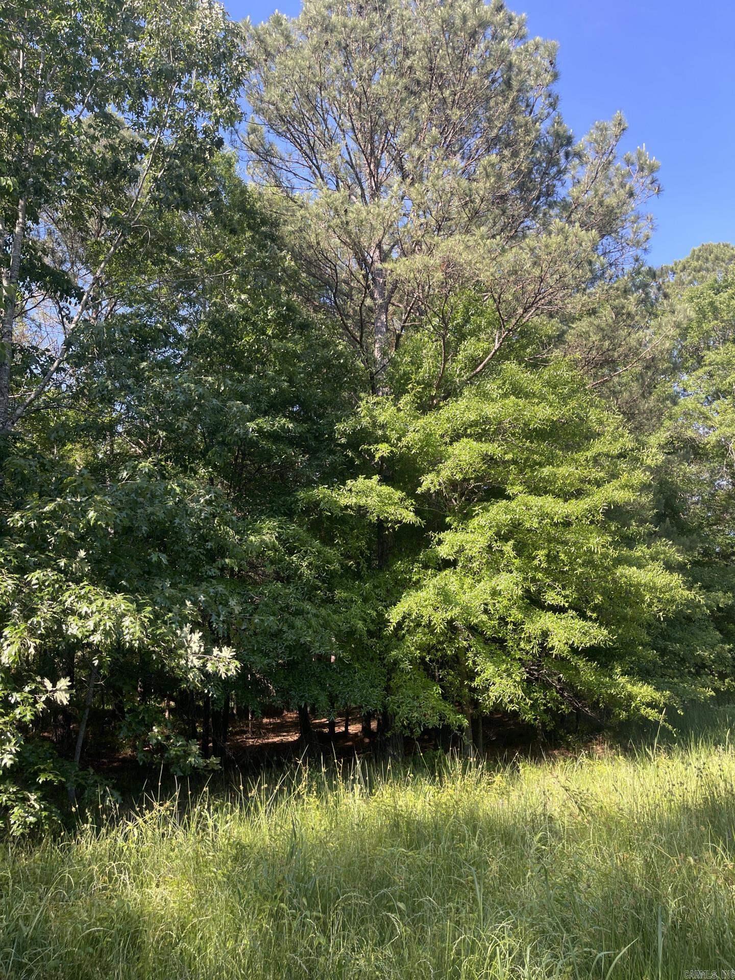 4410 Columbia Rd 36  Magnolia, AR