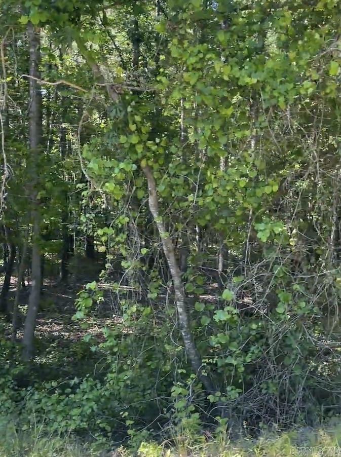 4410 Columbia Rd 36  Magnolia, AR
