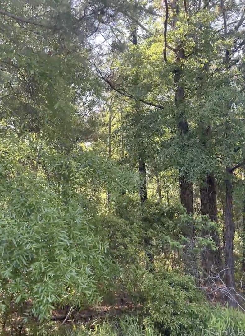 4410 Columbia Rd 36  Magnolia, AR