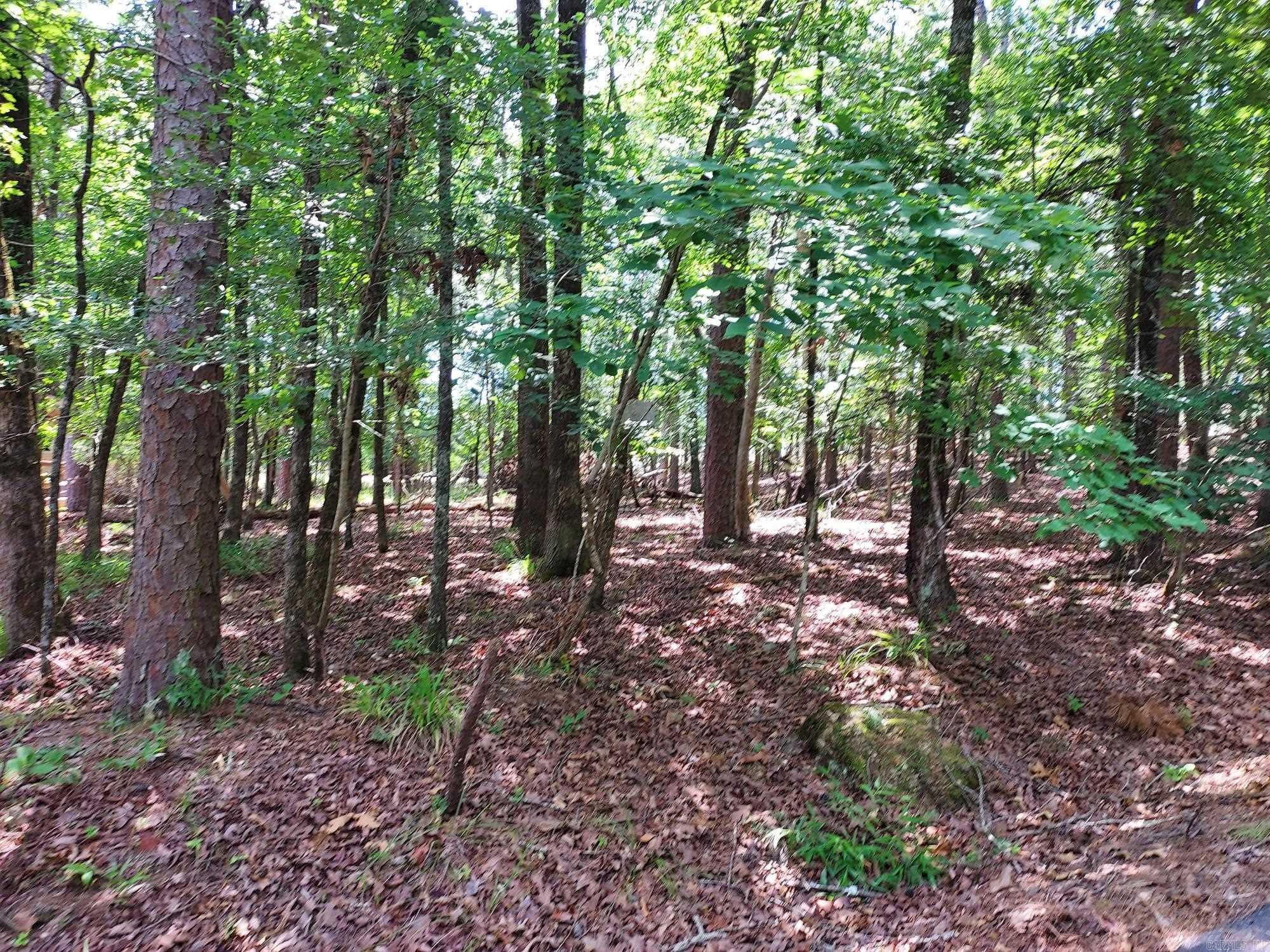 8 Villano Lane  Hot Springs Village, AR