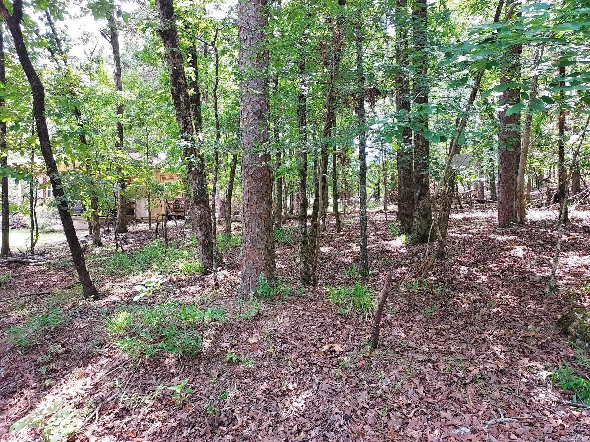 8 Villano Lane  Hot Springs Village, AR