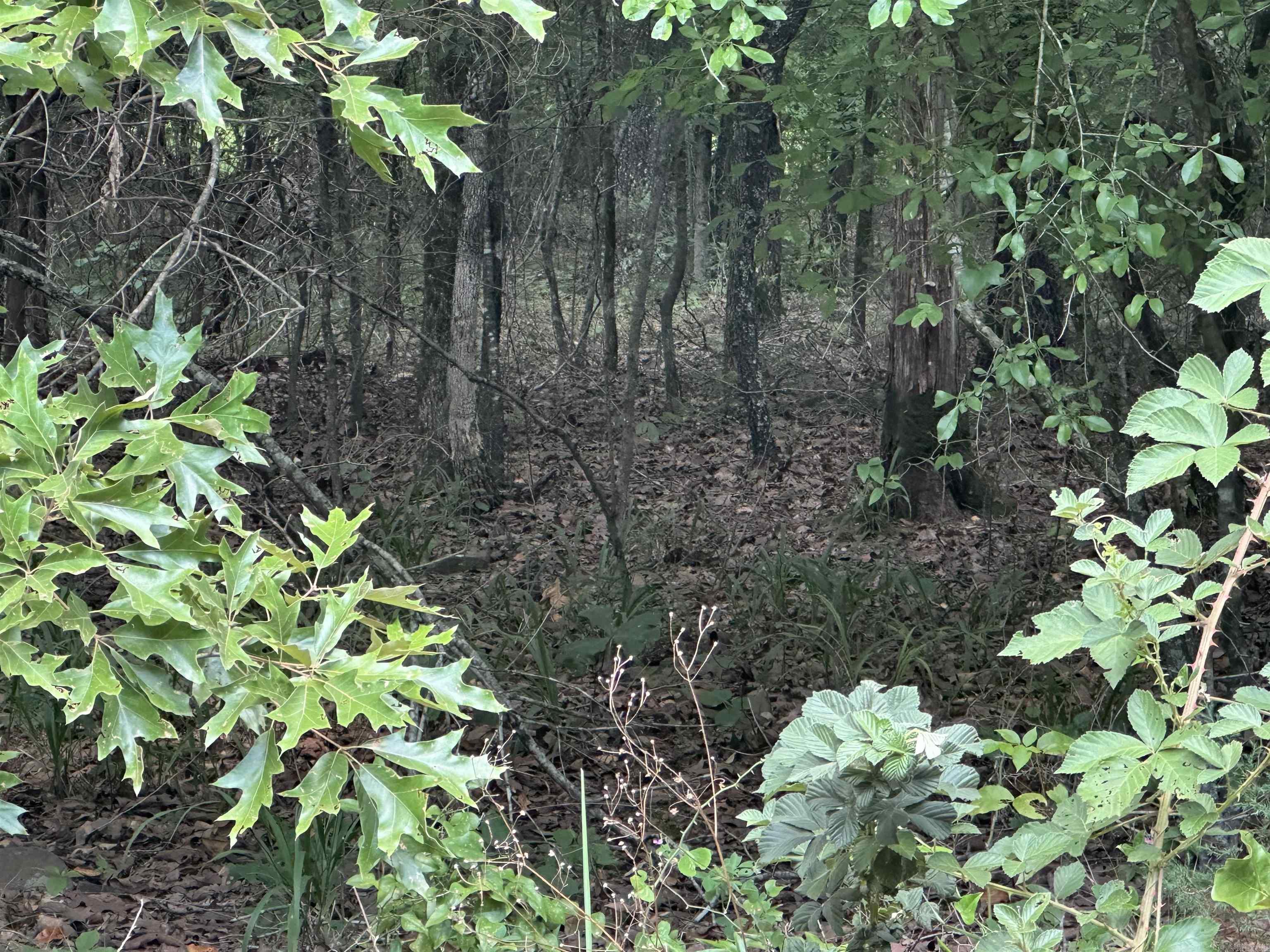 Tract 6 Golden Meadows  Cabot, AR
