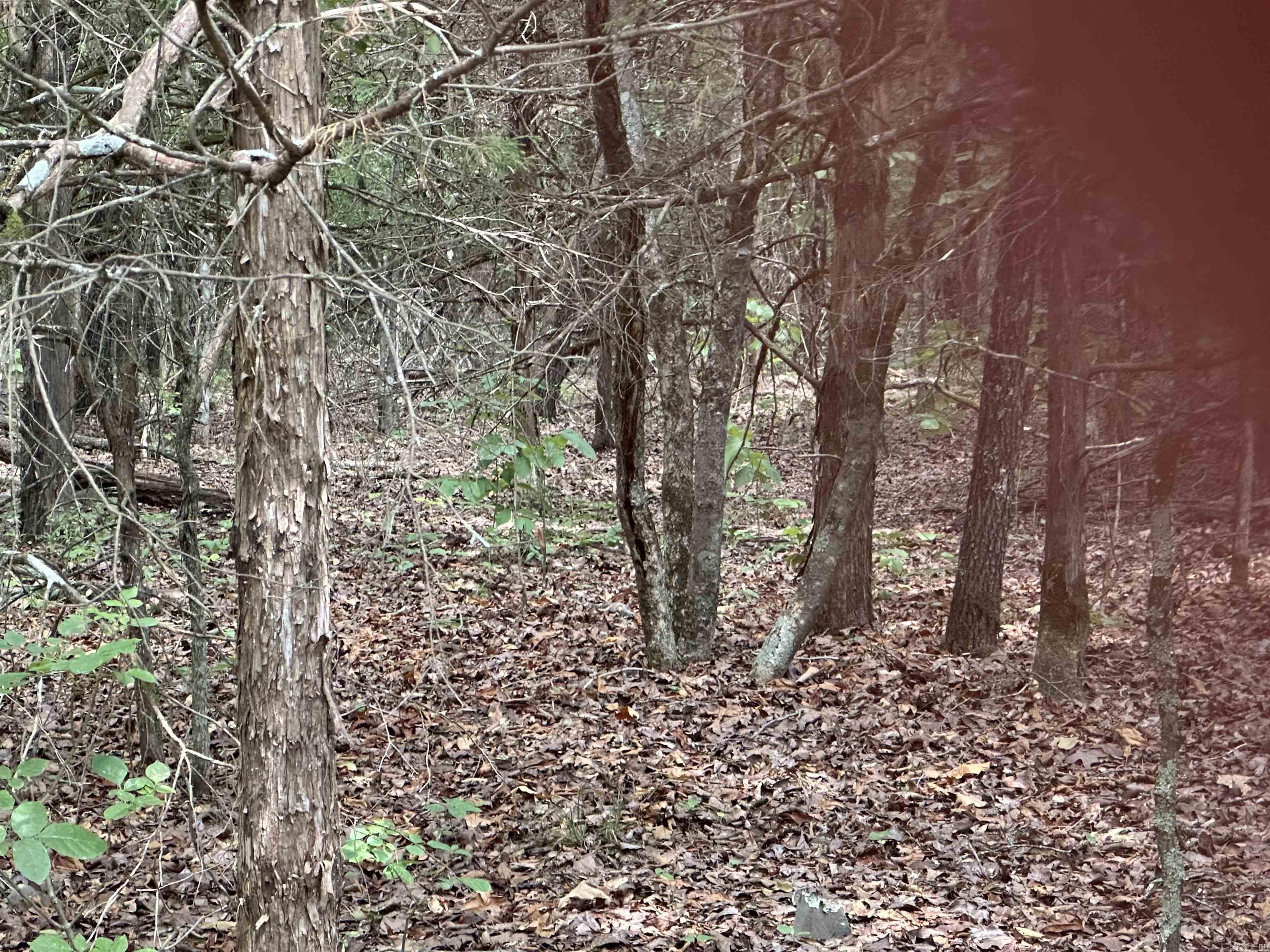 Tract 6 Golden Meadows  Cabot, AR