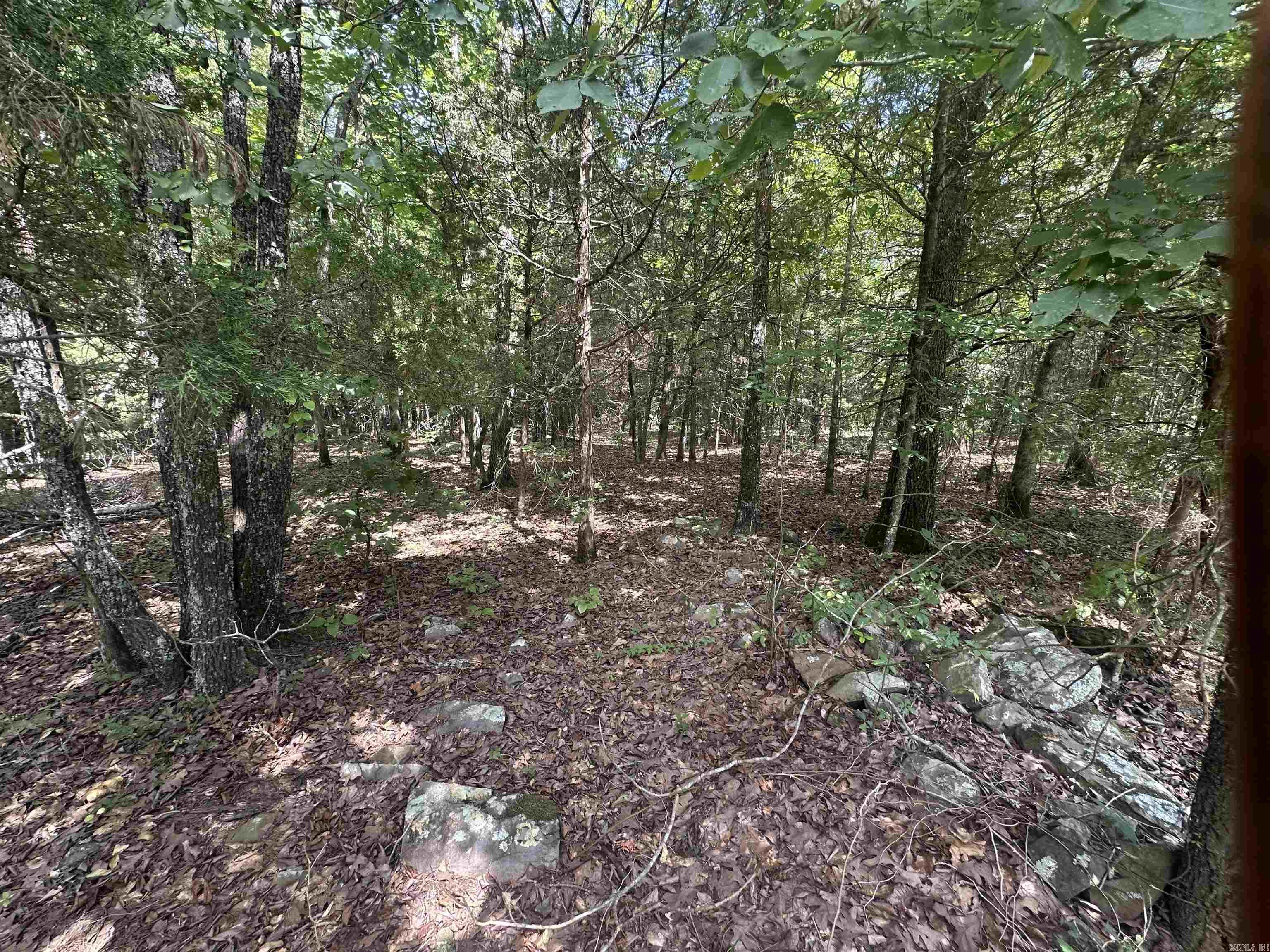 Tract 6 Golden Meadows  Cabot, AR